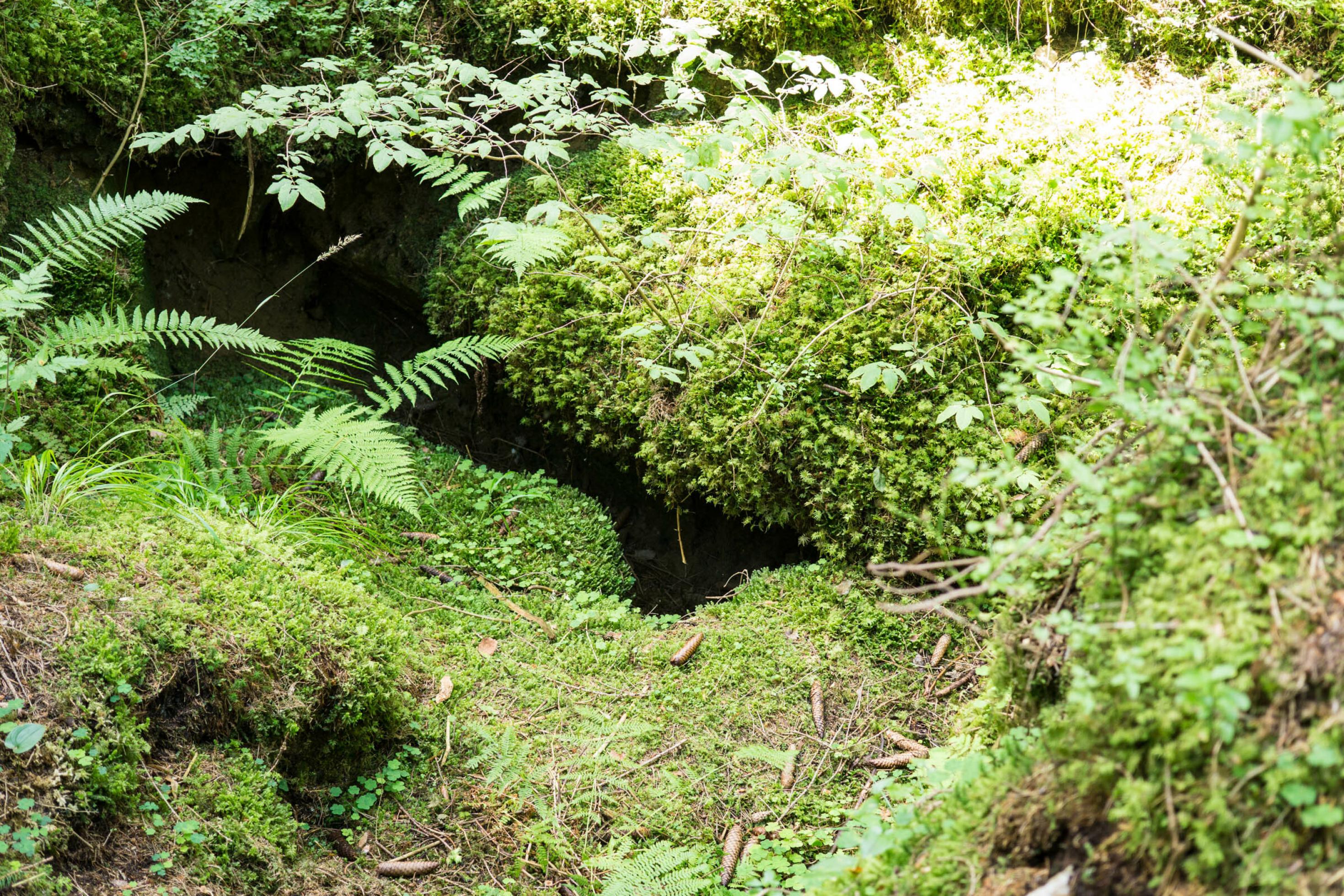 Großes dunkles Loch im Boden zwischen bemossten Felsen im Wald.