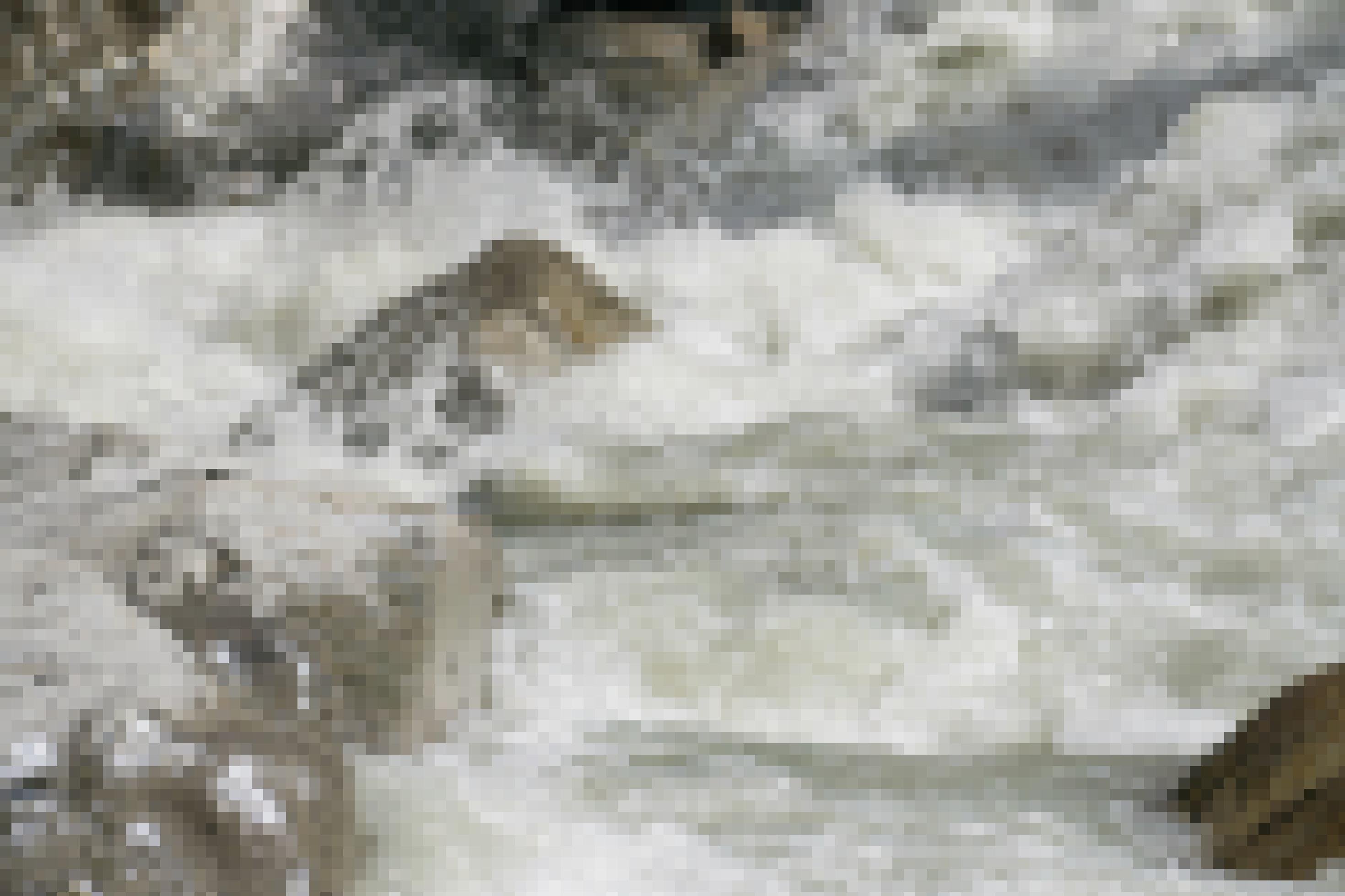Felsblöcke im Fluss mit wild schäumendem weißen Wasser