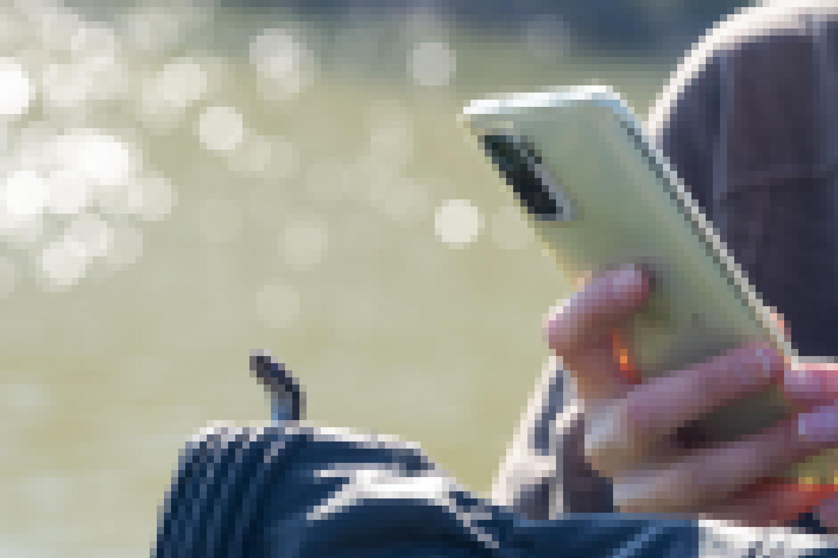 Eine Hand hält eine Kreuzotter, deren kopf mit einem Handy fotografiert wird.