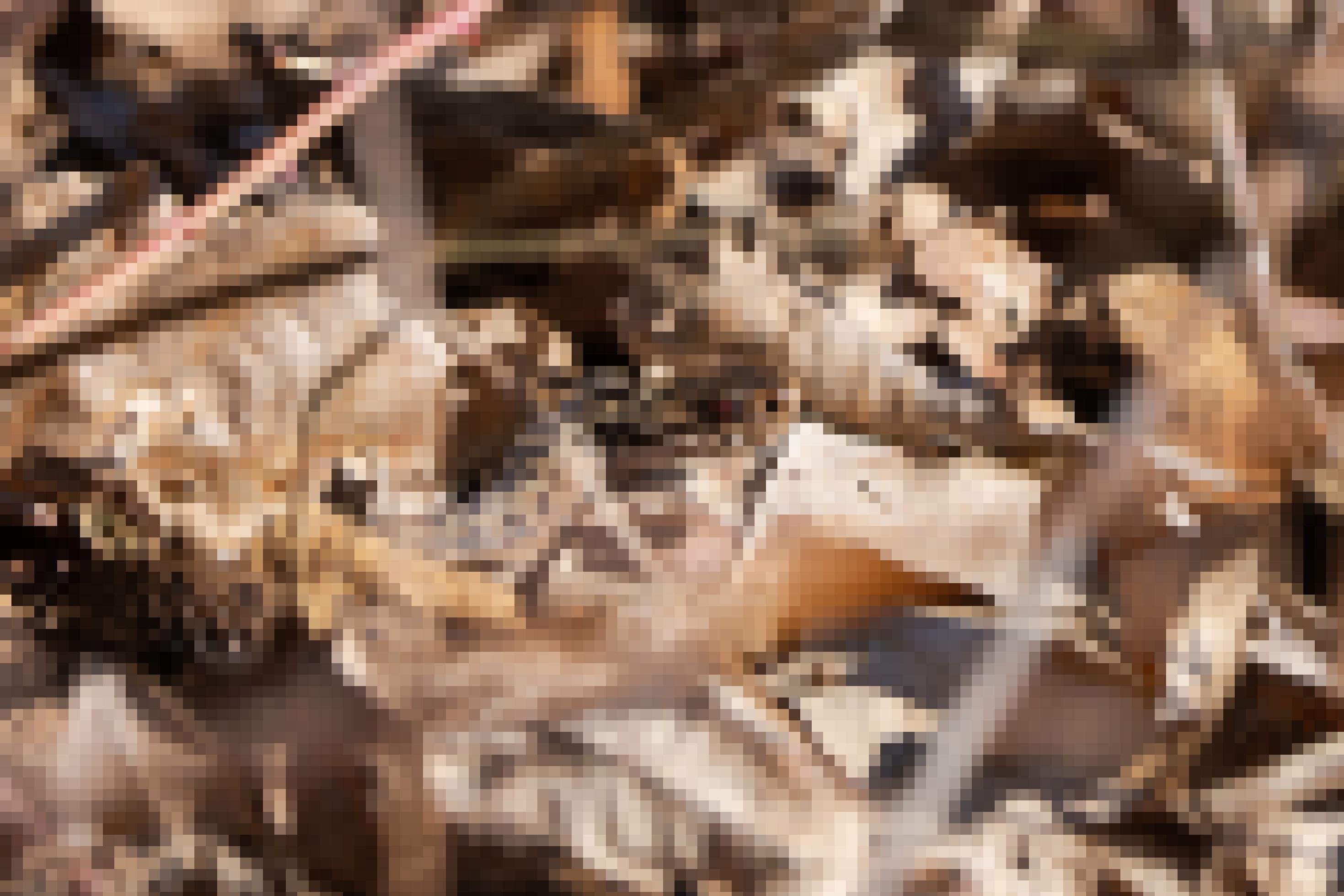 Eine braune Kreuzotter mit schwarzem Zickzackmuster liegt auf einem Untergrund aus trockenen Blättern in ähnlichem Farbton.
