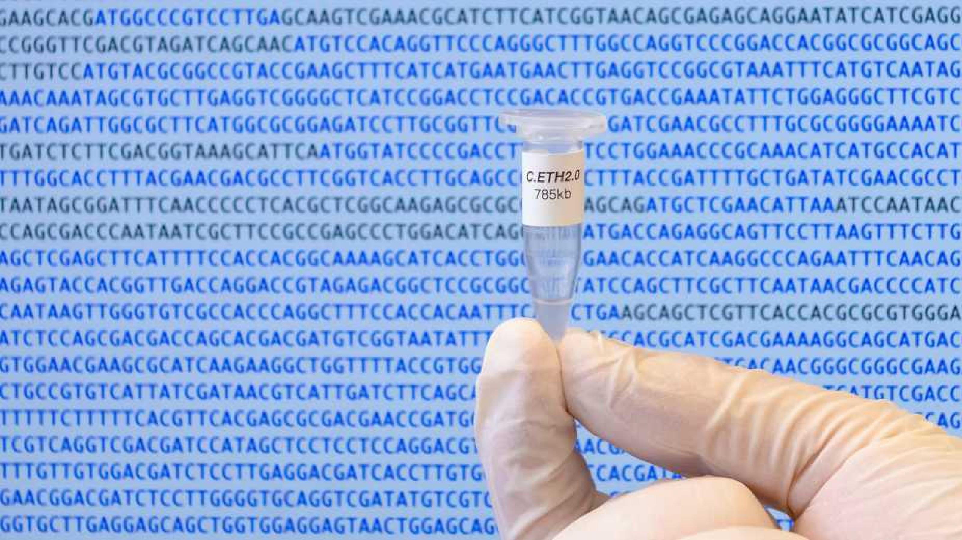kleines Laborgefäß mit künstlich erzeugter DNA