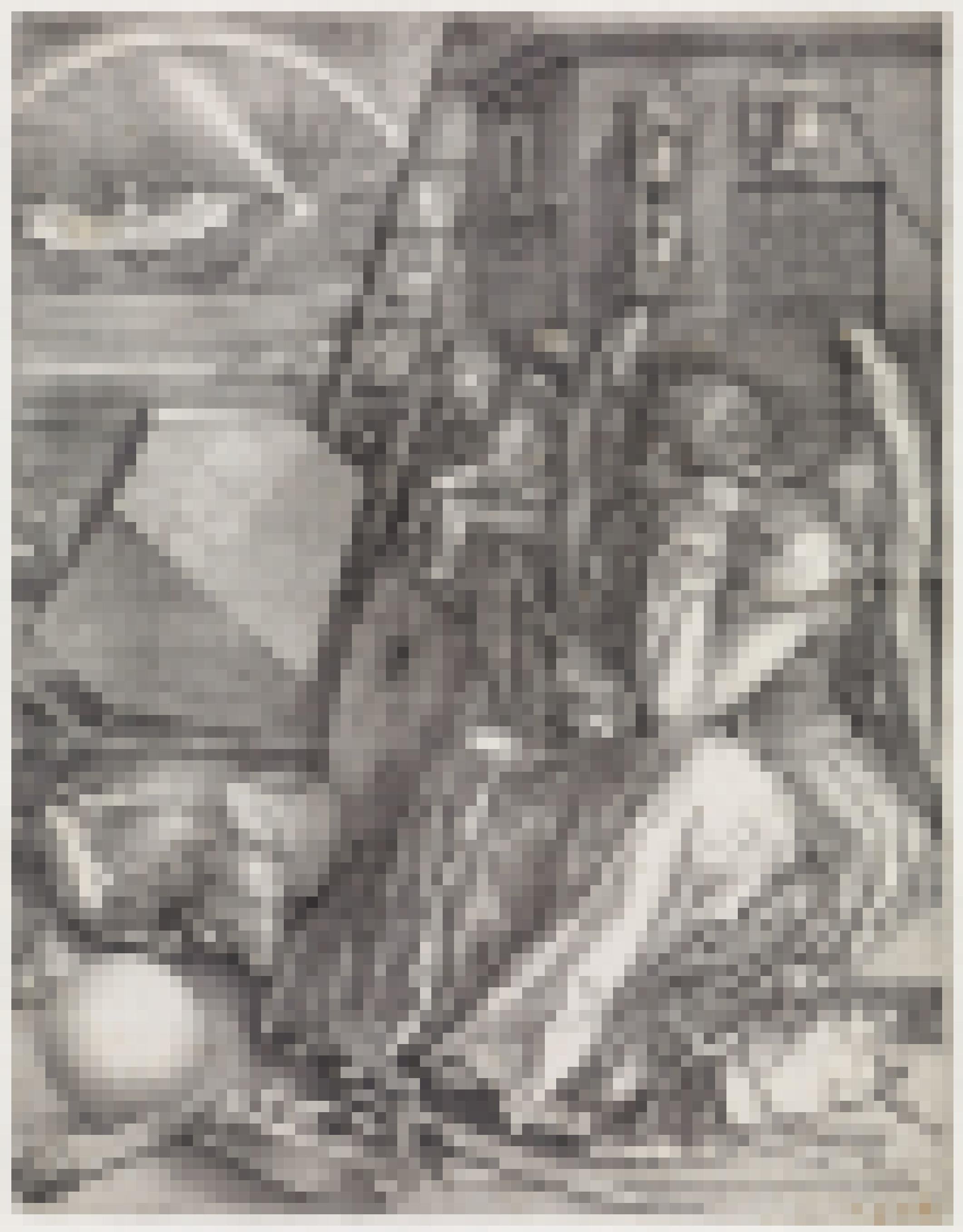 Das Foto zeigt einen fein gearbeiteten Kupferstich. Hauptfigur ist eine sitzende Frau, die den Kopf in die Hand gestützt hat.