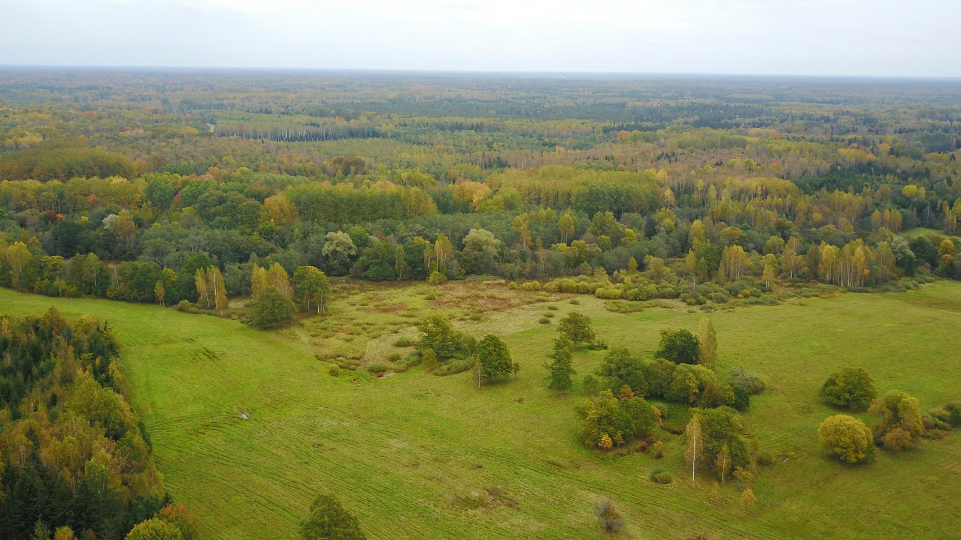 Ein Luftbild eines großflächigen Moores mit Wiesen, Moorwäldern und Sumpf, aufgenommen in Lettland.