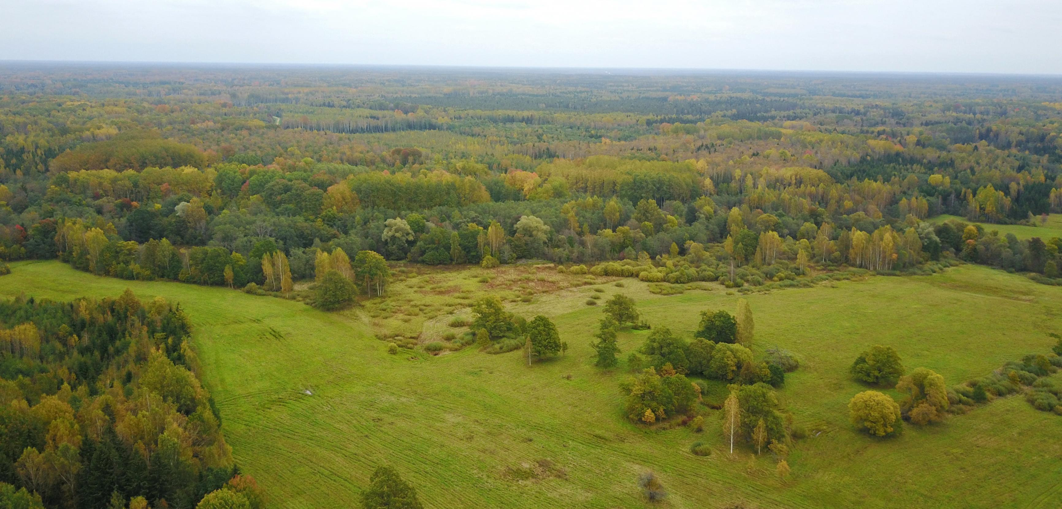 Ein Luftbild eines großflächigen Moores mit Wiesen, Moorwäldern und Sumpf, aufgenommen in Lettland.