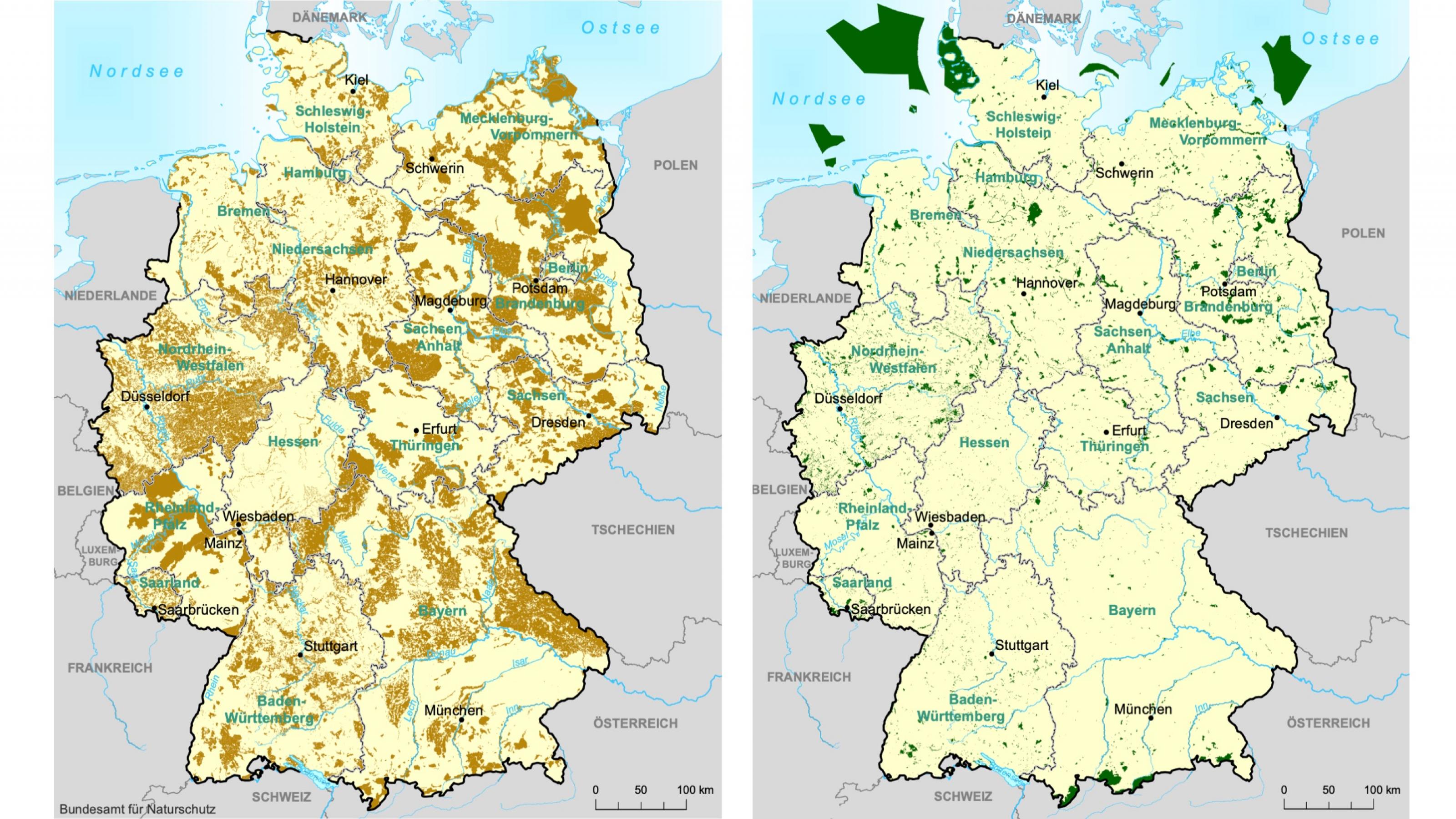 Zwei Deutschlandkarten, die Ausdehnung der beiden Schutzgebiete zeigen. Landschaftsschutzgebiete bedecken weiter Teile des Landes, Naturschutzgebiete nur Flecken.