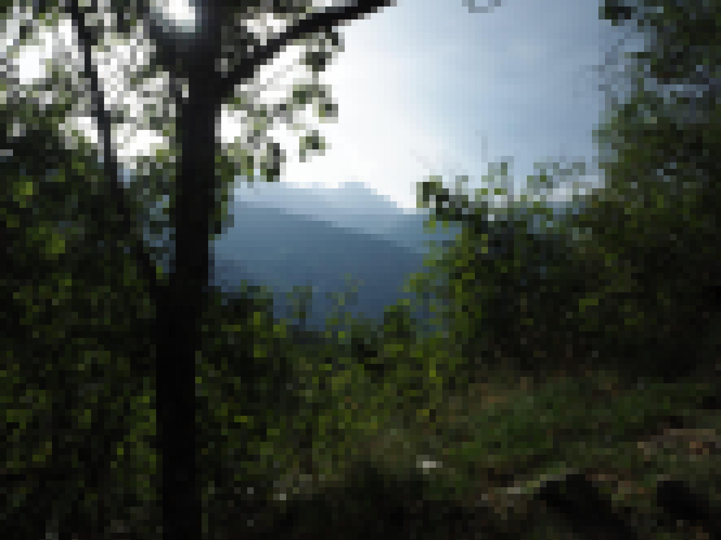 Blick durch Bäume auf die Berge im Hintergrund.