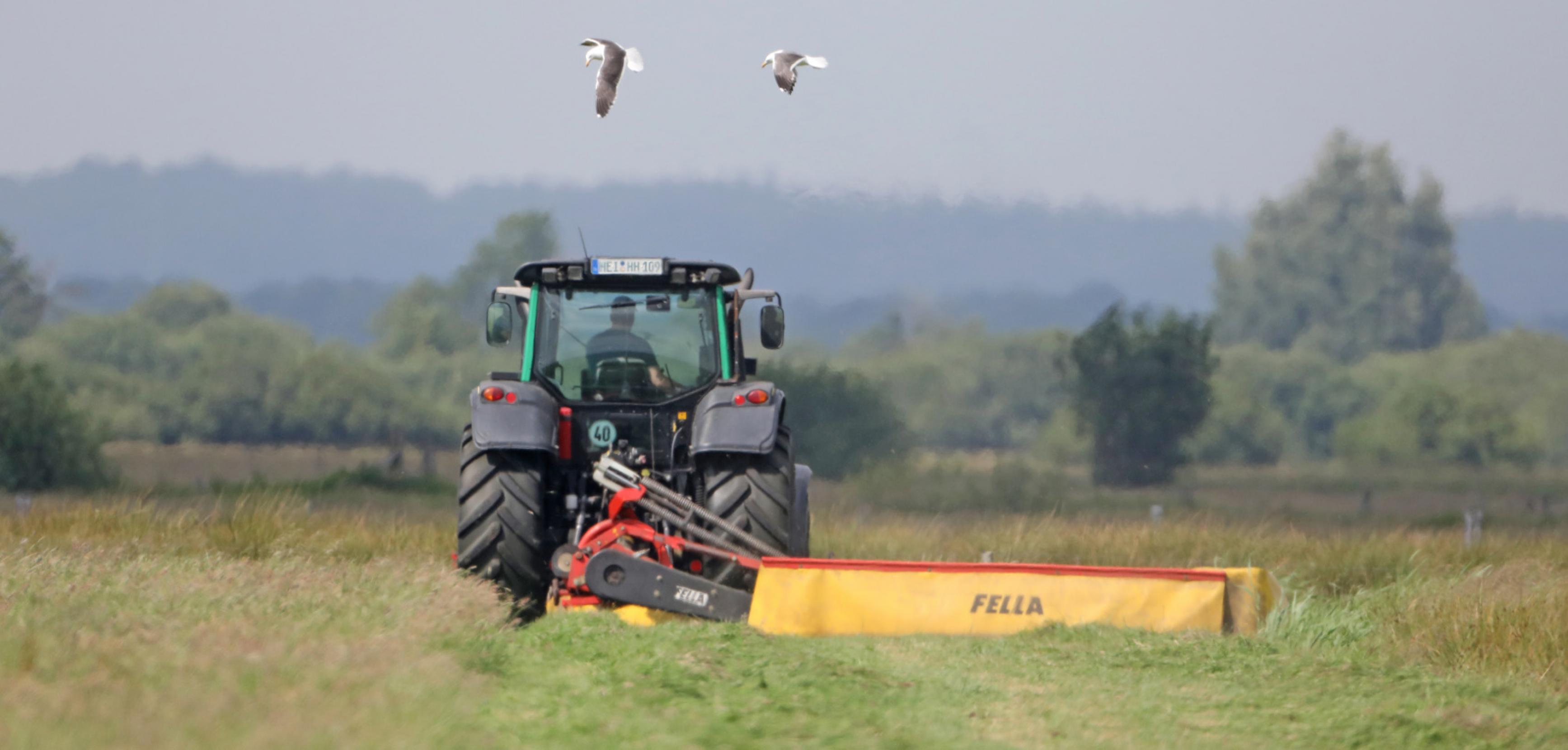 Ein Traktor schneidet das Gras in einer Wiese