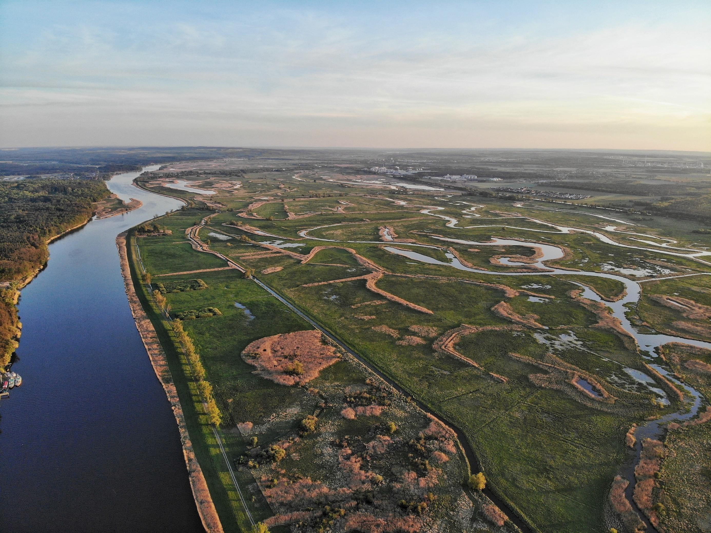 Foto vom Landschaftspark Unteres Odertal auf polnischer Seite.