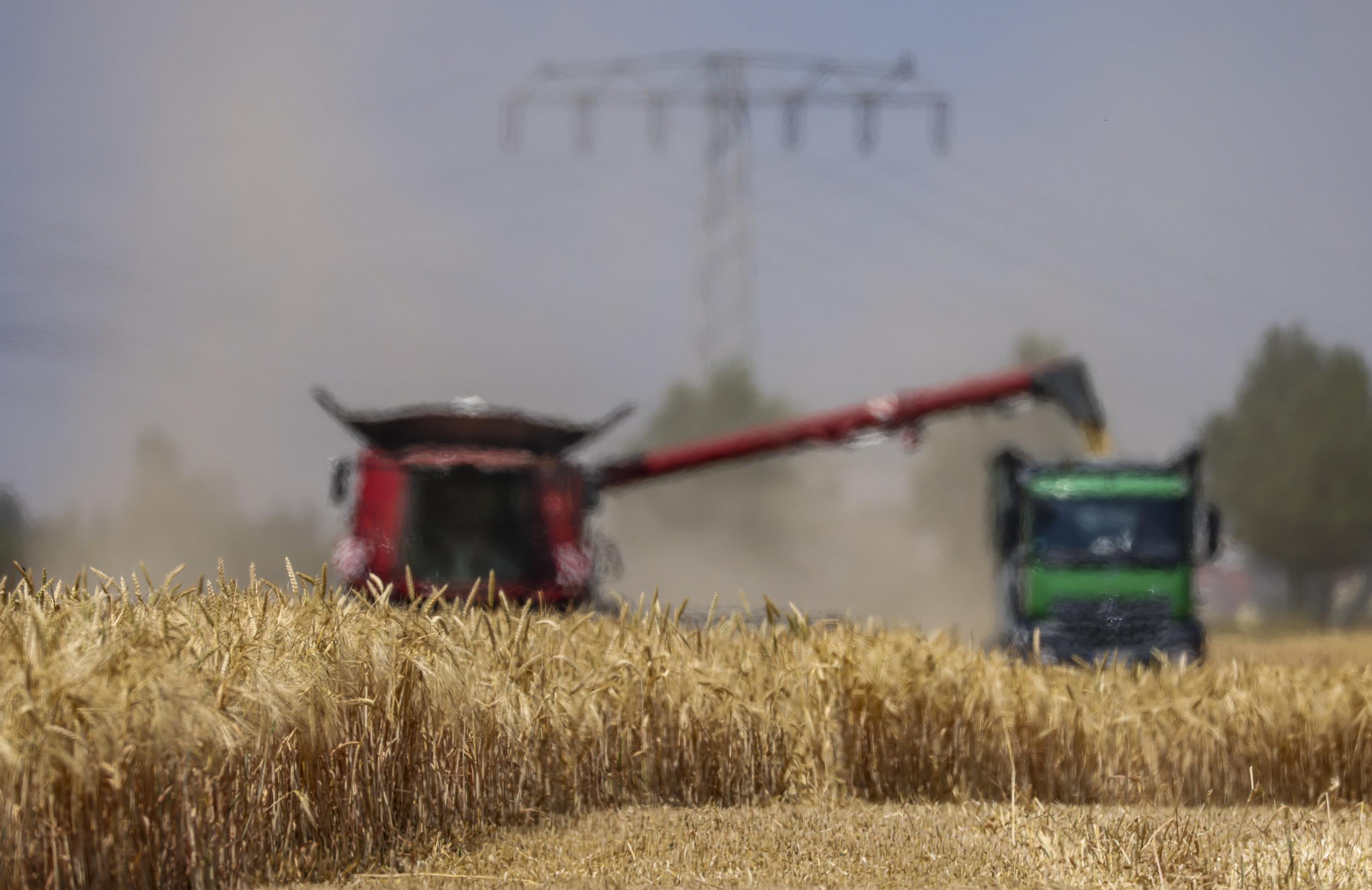 In flimmernder Sommerhitze erntet Mähdrescher der Agrarprodukte Kitzen e.G. Gerste auf einem Feld bei Leipzig. Üblicherweise beginnt hier die Ernte erst im Juli. Nach Hitze und Trockenheit fahren Sachsens Bauern dieses Jahr vielerorts bereits deutlich früher mit den Mähdreschern aufs Feld. Die Agrarprodukte Kitzen e.G. bewirtschaftet 2800 Hektar Ackerland, auf etwa 1900 Hektar davon wachse Getreide. (zu dpa „Die Mähdrescher rollen – Früher Erntestart für Sachsens Bauern“)