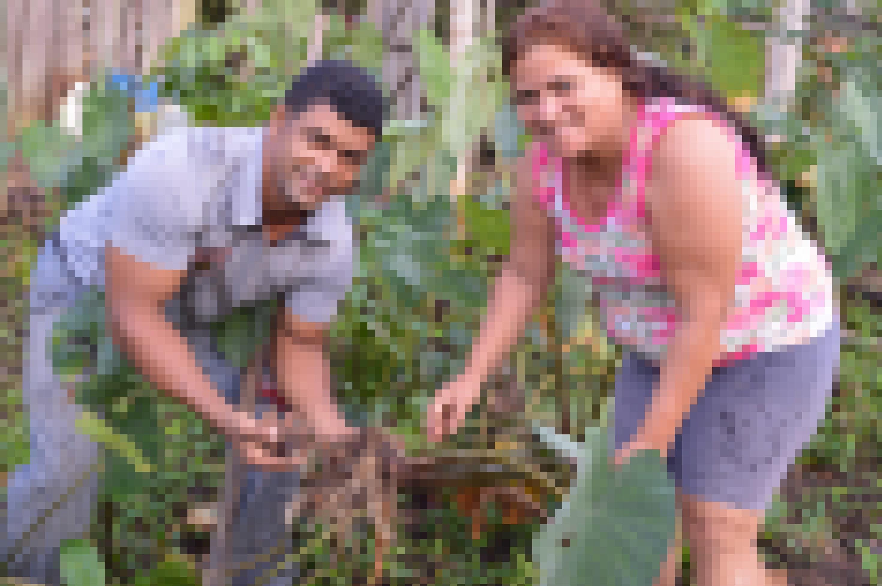 Daniel und Osvalinda Alves halten einen Setzling ins Foto.