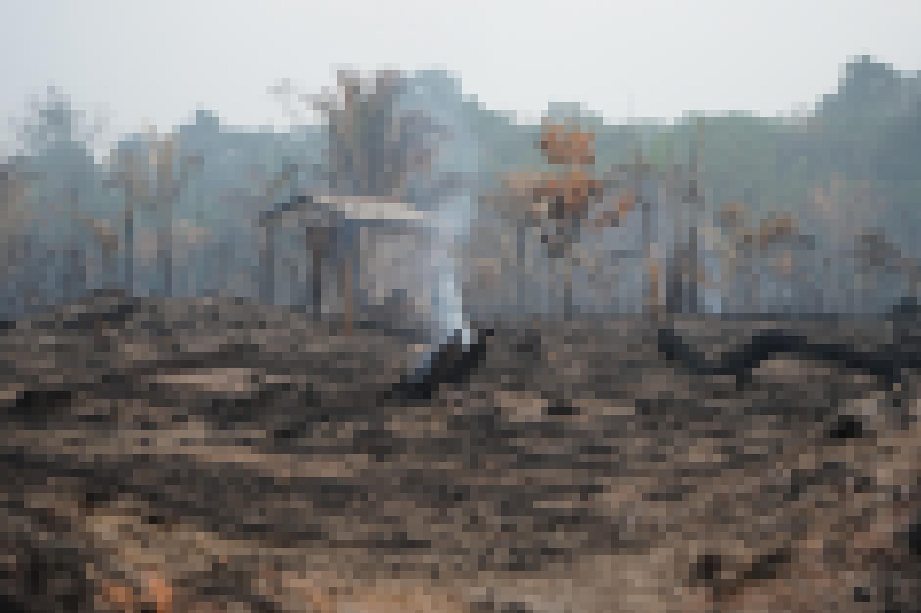 Verbrannte Erde und verkohlte Bäume, dahinter ein zerstörtes Haus.