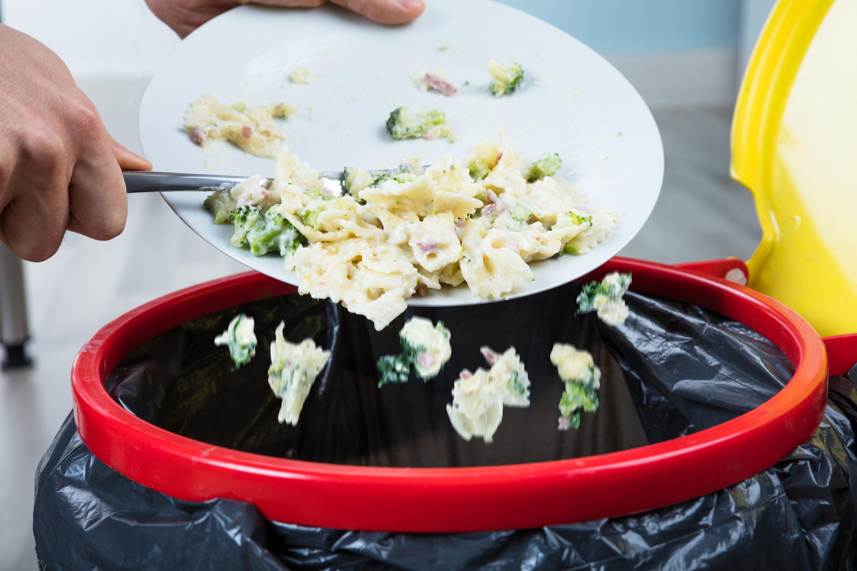 Nahaufnahme einer Person, die große Mengen Essensreste von einem Teller in die Mülltonne leert.