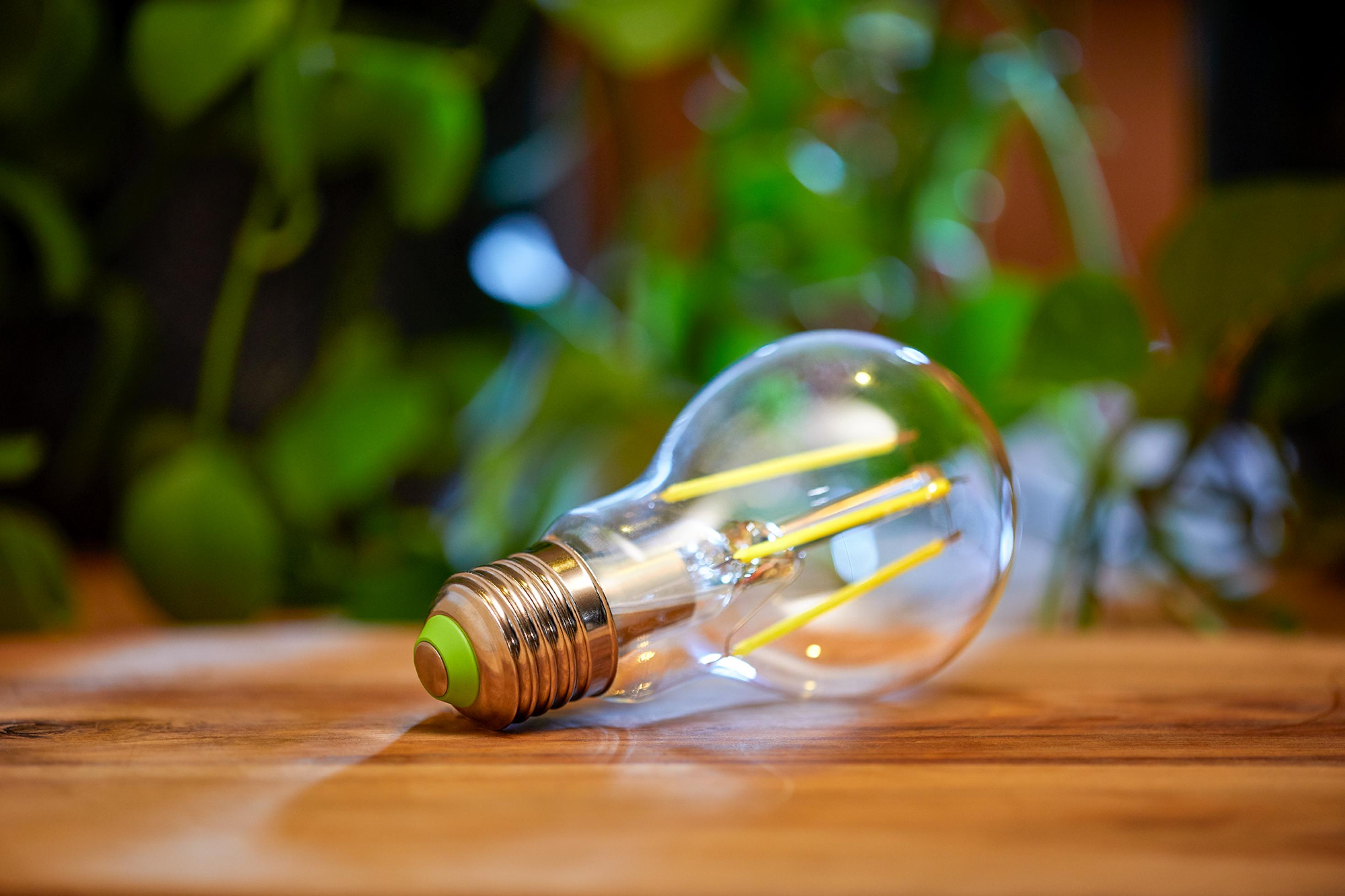 LED-Lampe in Nahaufnahme, die auf einem Holztisch liegt, im Hintergrund Grünpflanzen