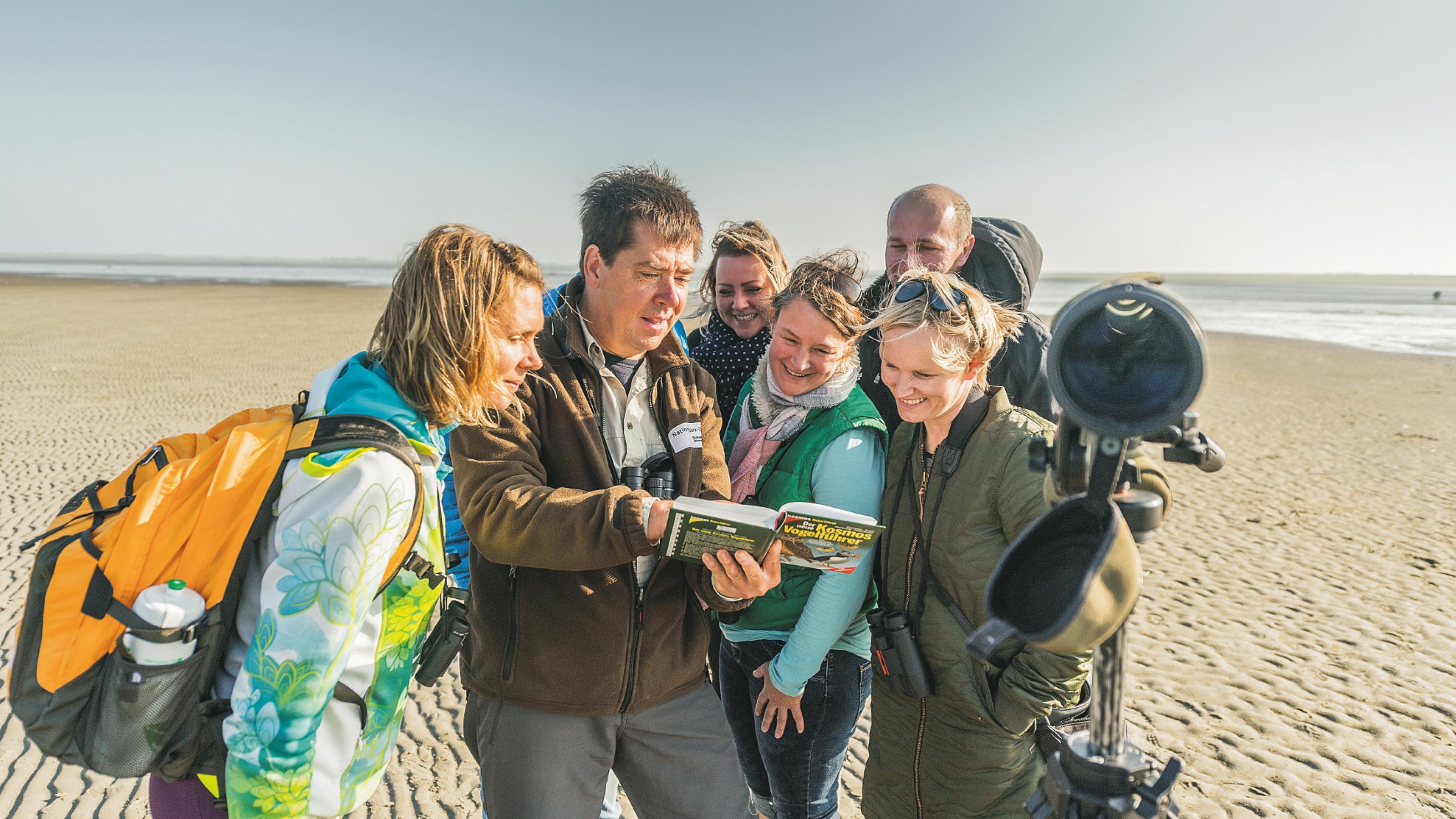 Eine Gruppe Vogelbeobachterinnen und -beobachter schart sich um einen Guide, der ihnen im Bestimmungsbuch einen Vogel zeigt. Alle stehen im Wattenmeer auf einer Sandbank.