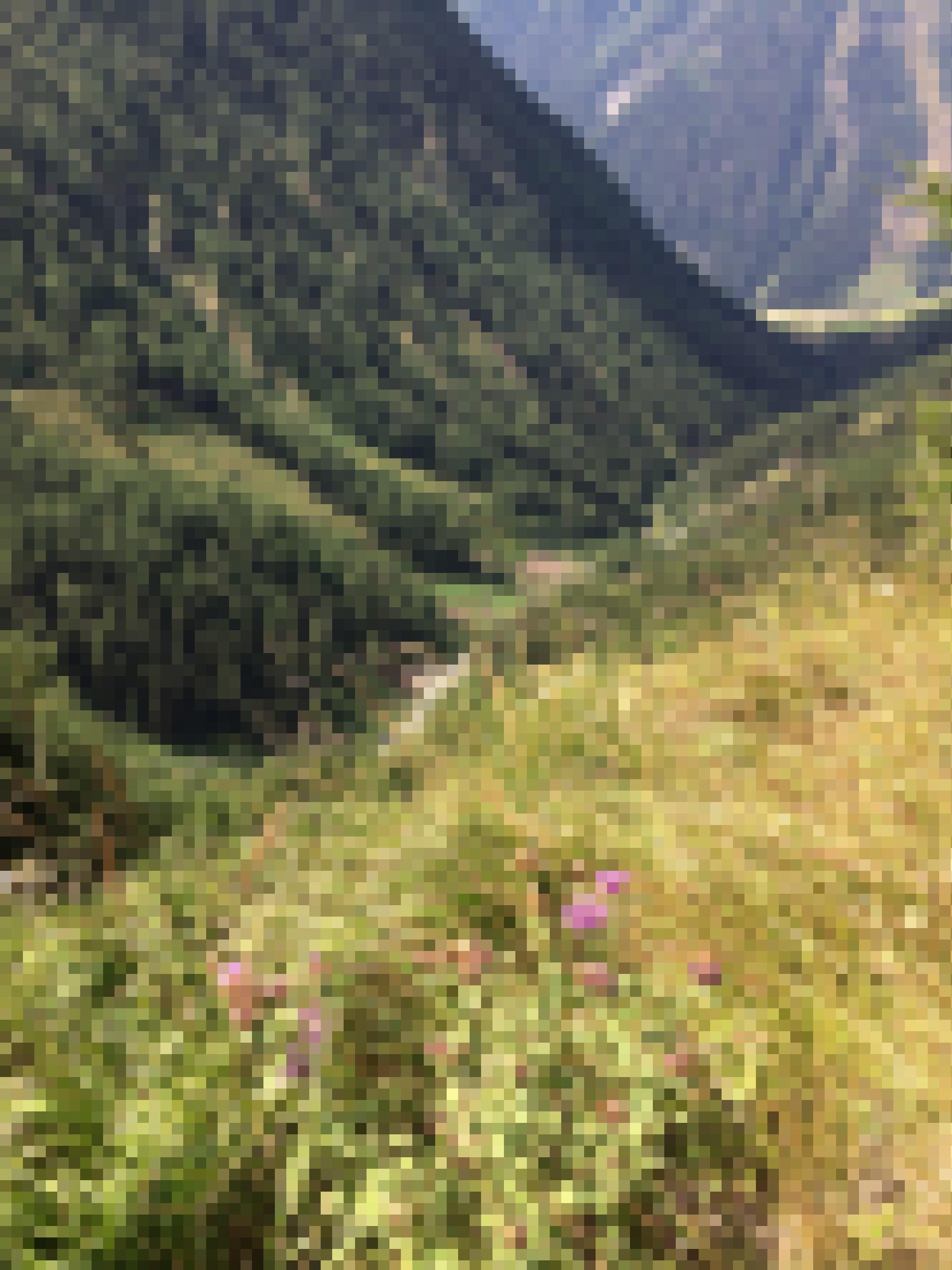 Steiles Gebirgstal vom Hang weit oben fotografiert.
