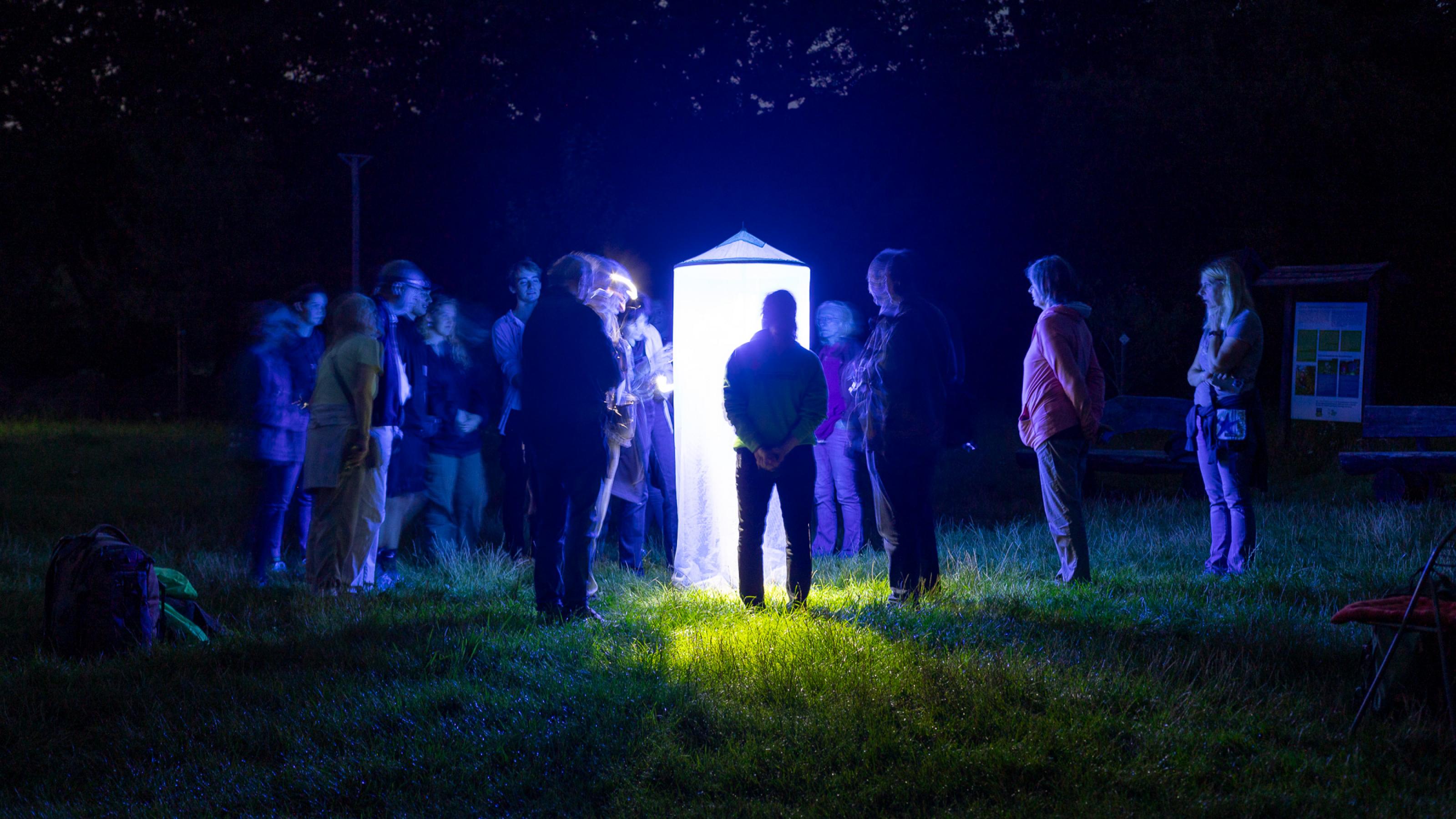 Gut ein Dutzend Menschen stehen im Dämmerlicht auf einer Wiese um einen sogenannten Leuchtturm herum: eine mannshohe Gazeröhre, die von Innen mit blau-weißem Licht bestrahlt wird und Nachtfalter anlockt.