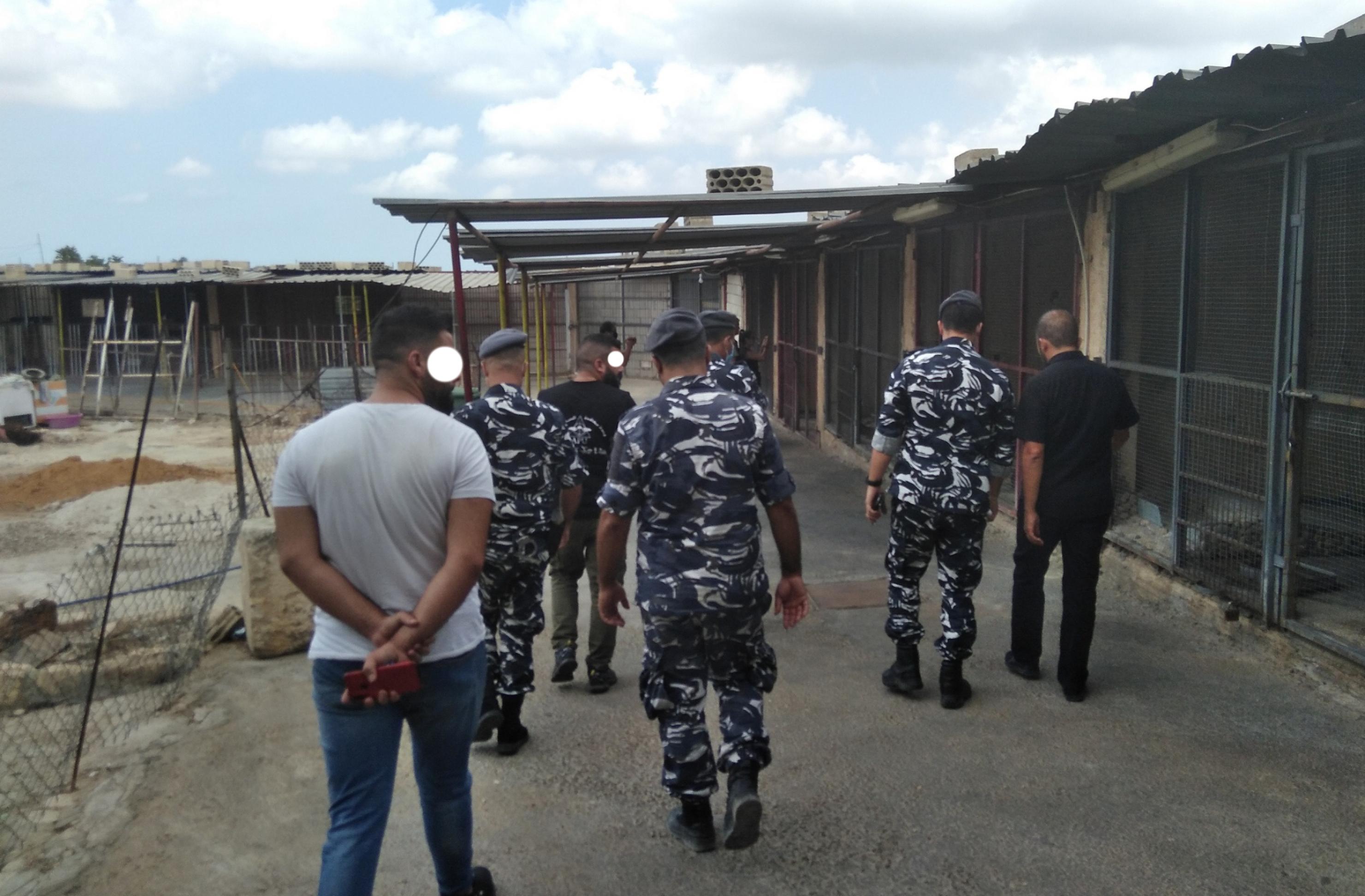 Eine Gruppe, darunter uniformierte Soldaten, geht an einer langen Reihe  Käfige entlang.