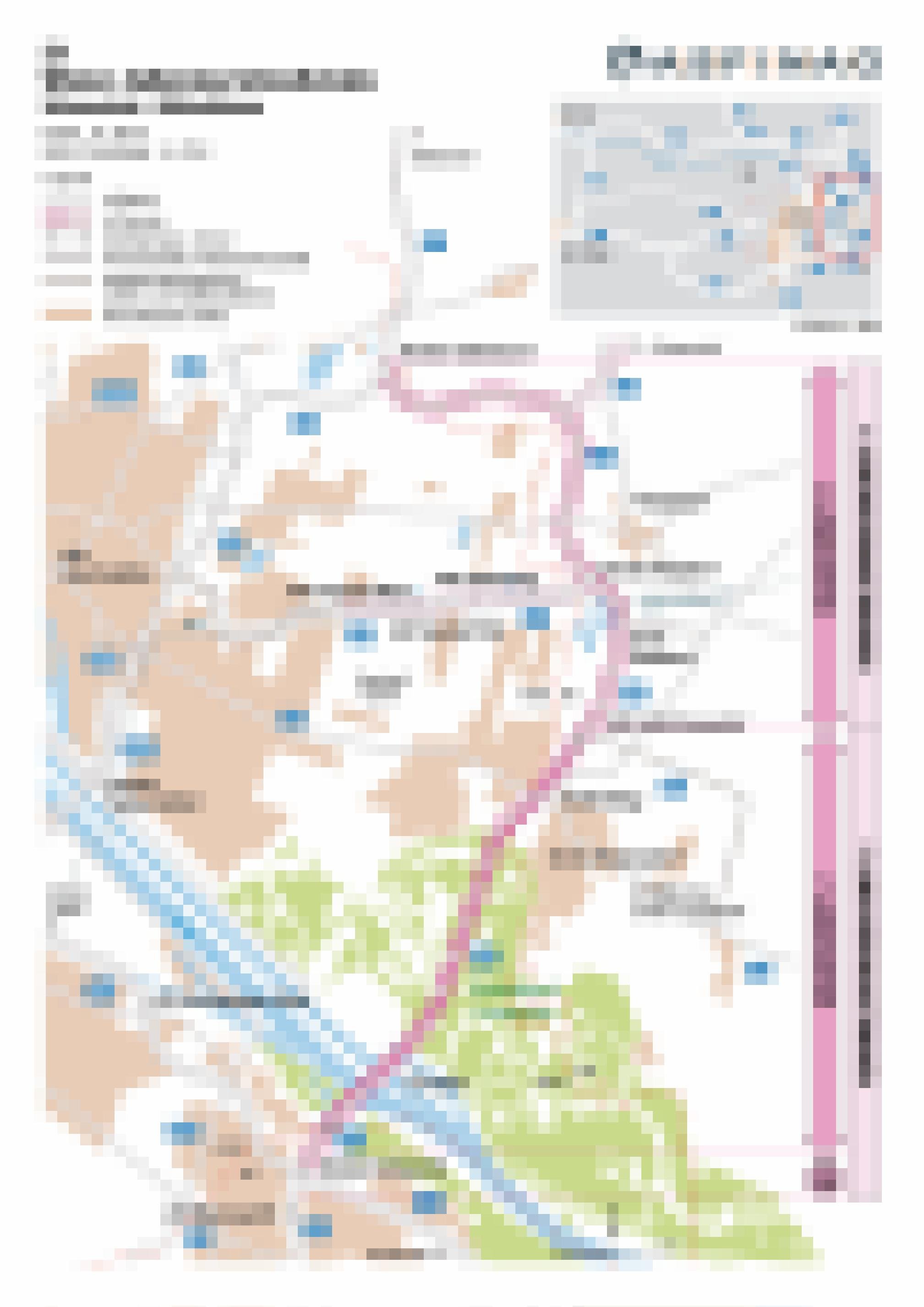 Planskizze der Stadt Wien mit der Führung der Straße