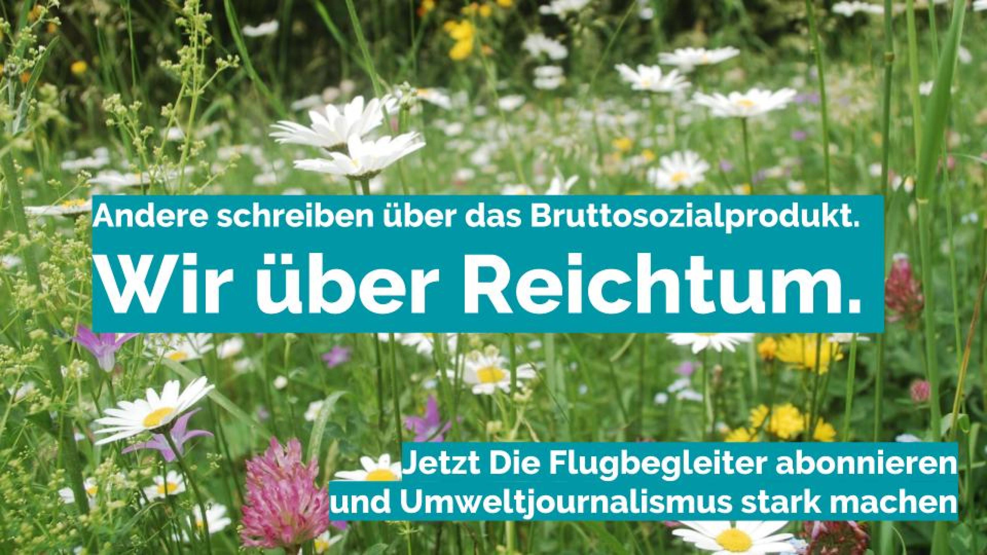 Eine Blumenwiese mit Werbe-Slogan drauf.