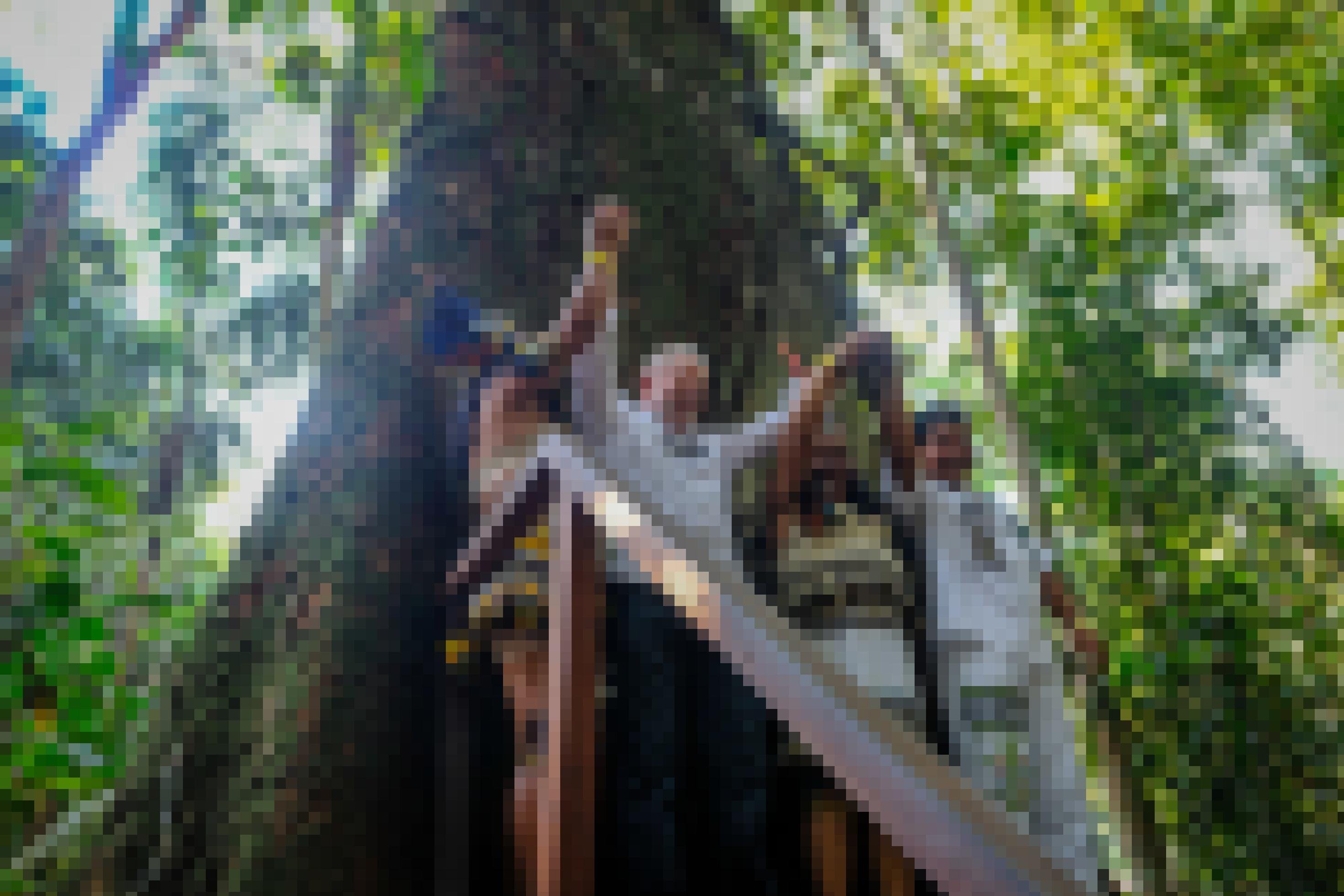 Ein weißer Präsidentschaftskandidat steht umringt von indigenen mit Federn geschmückten Menschen vor einem Urwaldriesen, auch bekannt als Ceiba