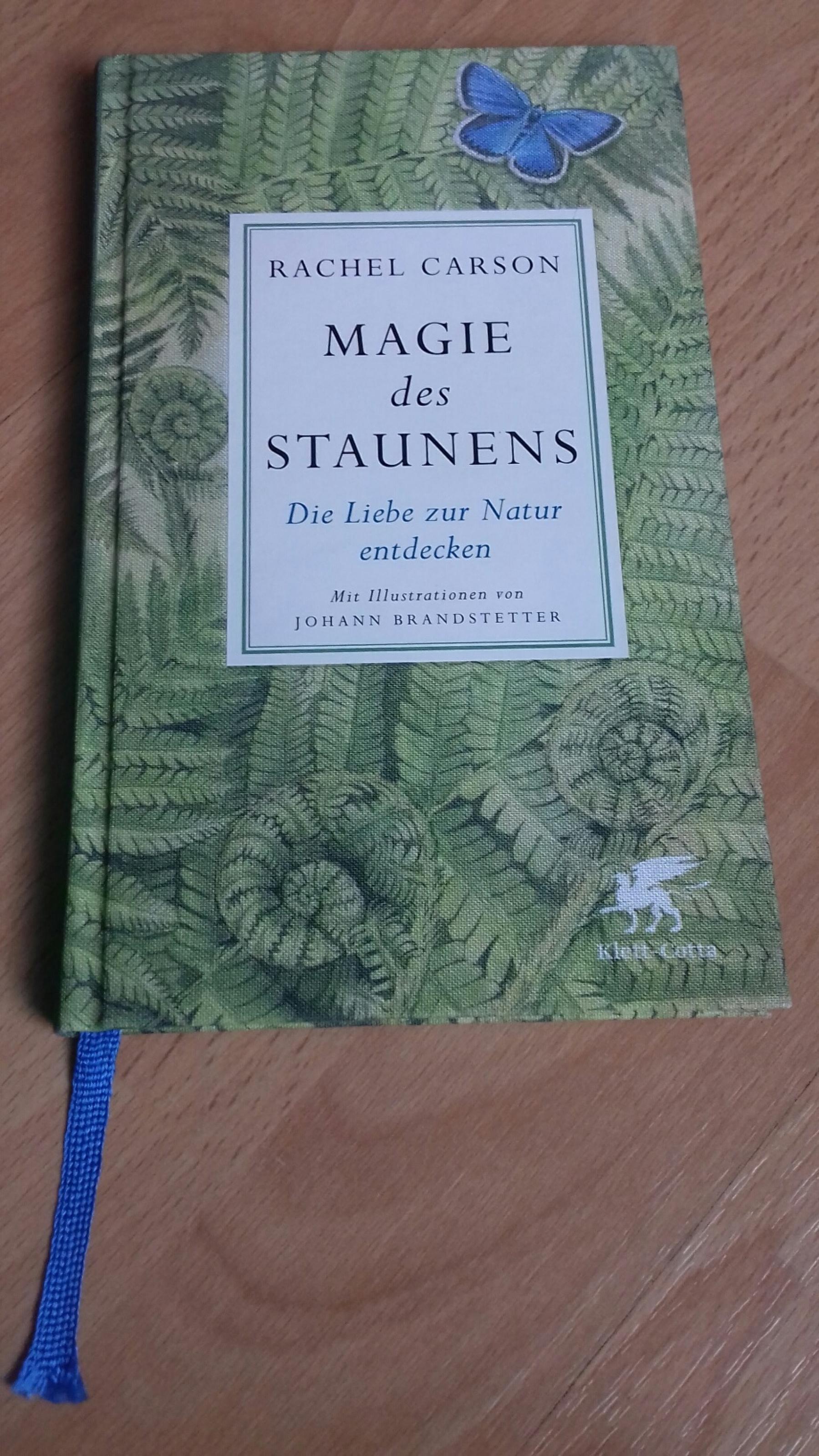 Das  Cover des Buches „Die Magie des Staunens“