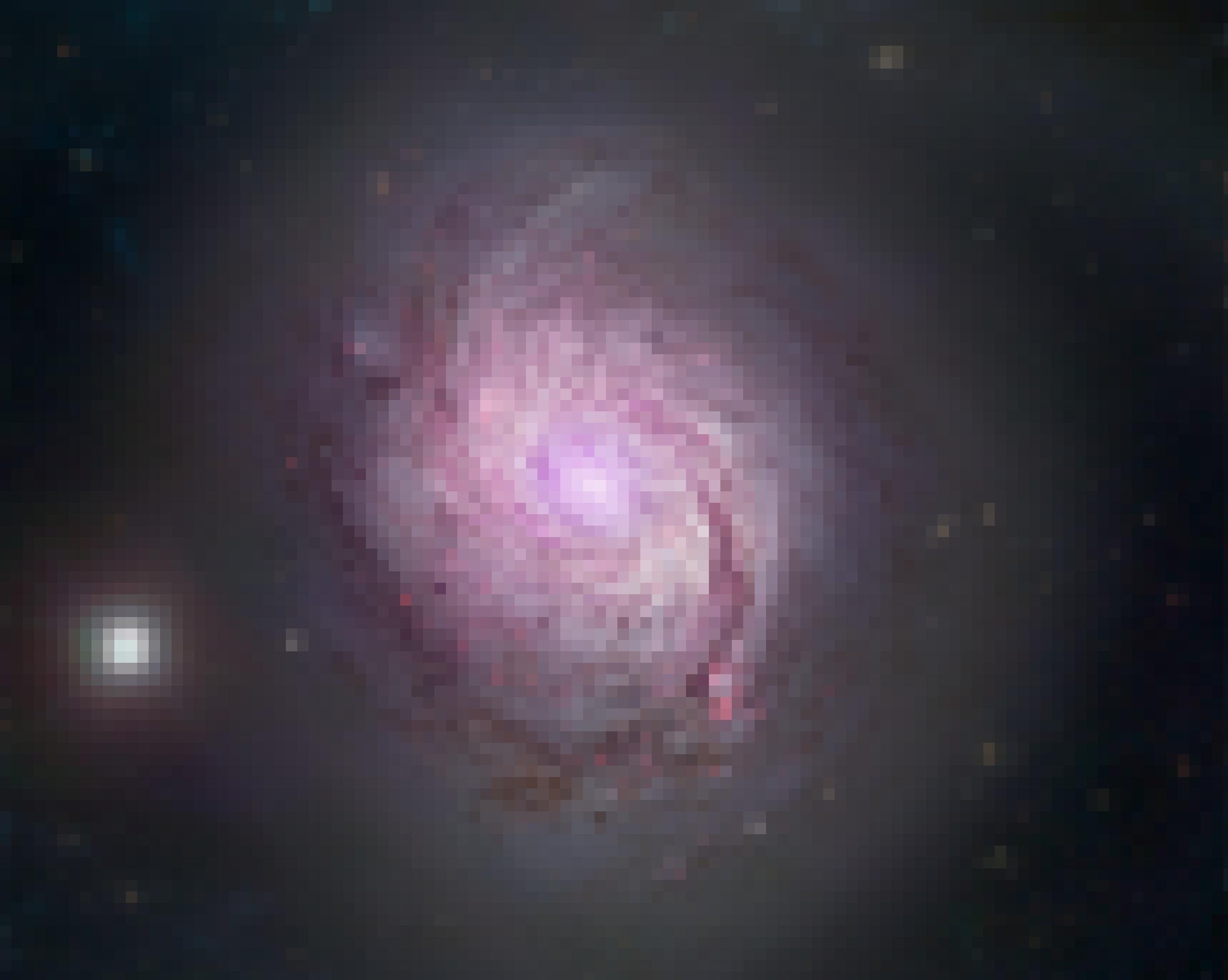 Zu sehen ist die Scheibe der Spiralgalaxie NGC 1068, die allerdings einen ungewöhnlichen Anblick bietet: Zu erkennen sind rotweiße, verwaschene Linien, die spiralförmig ins Zentrum des Sternsystems weisen. Es wirkt fast, als hätte jemand in einen riesigen Eimer weiße und rote Farbstreifen geschüttet und mit einem Quirl verwirbelt. Die Erklärung für das Bild des Spiralnebels: Forscher des Stratospheric Observatory for Infrared Astronomy (SOFIA) haben Messdaten der Magnetfelder der Galaxie über eine Aufnahme des Hubble-Weltraumteleskops projiziert. Das Bild lässt erkennen, dass die Magnetfelder insbesondere parallel zu jenen Bereichen der Spiralarme verlaufen, die reich an Staub, Gas und neugeborenen Sternen sind. Für die Wissenschaftler ist dadurch wahrscheinlich: Es sind Gravitationskräfte, die die Magnetfelder zusammenpressen und damit auch die Form der Spiralarme bstimmen.