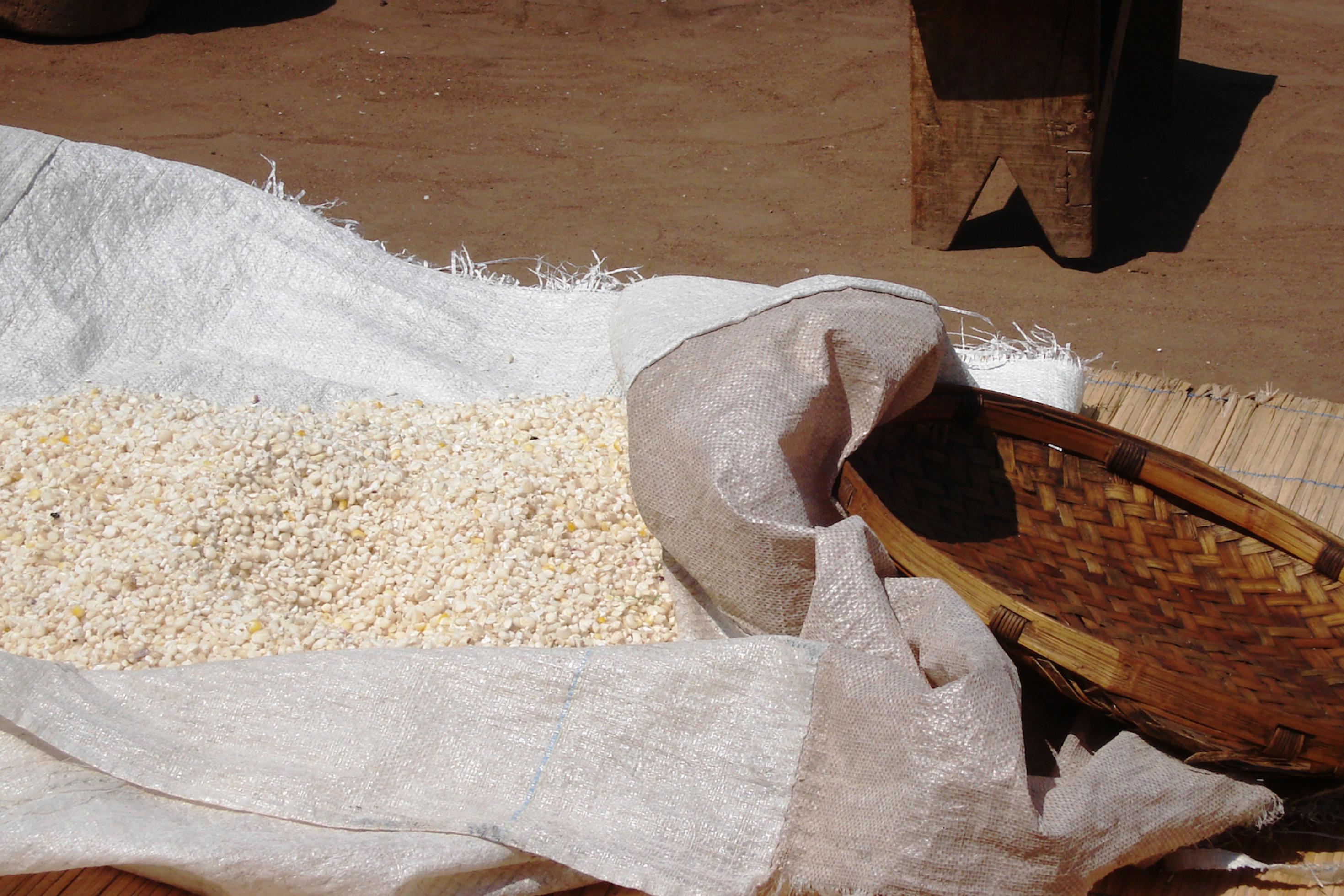 Eine aus Stroh geflochtene Schale liegt neben einem offenen Sack mit Mais auf einem rötlichen Lehmboden