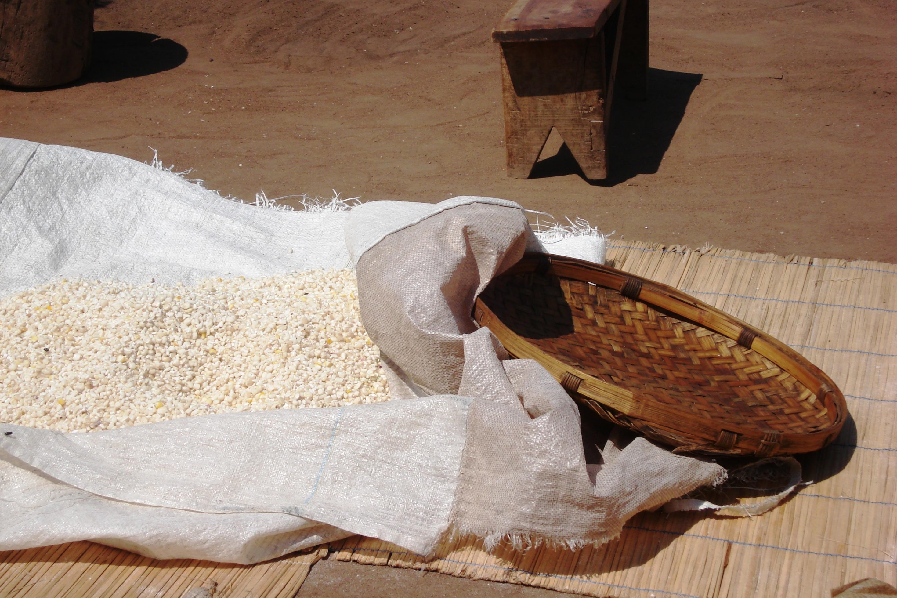 Das Bild zeigt frisch geernteten Mais, der auf einer Plane auf dem Boden liegt, daneben ein Korb und ein Schemel.