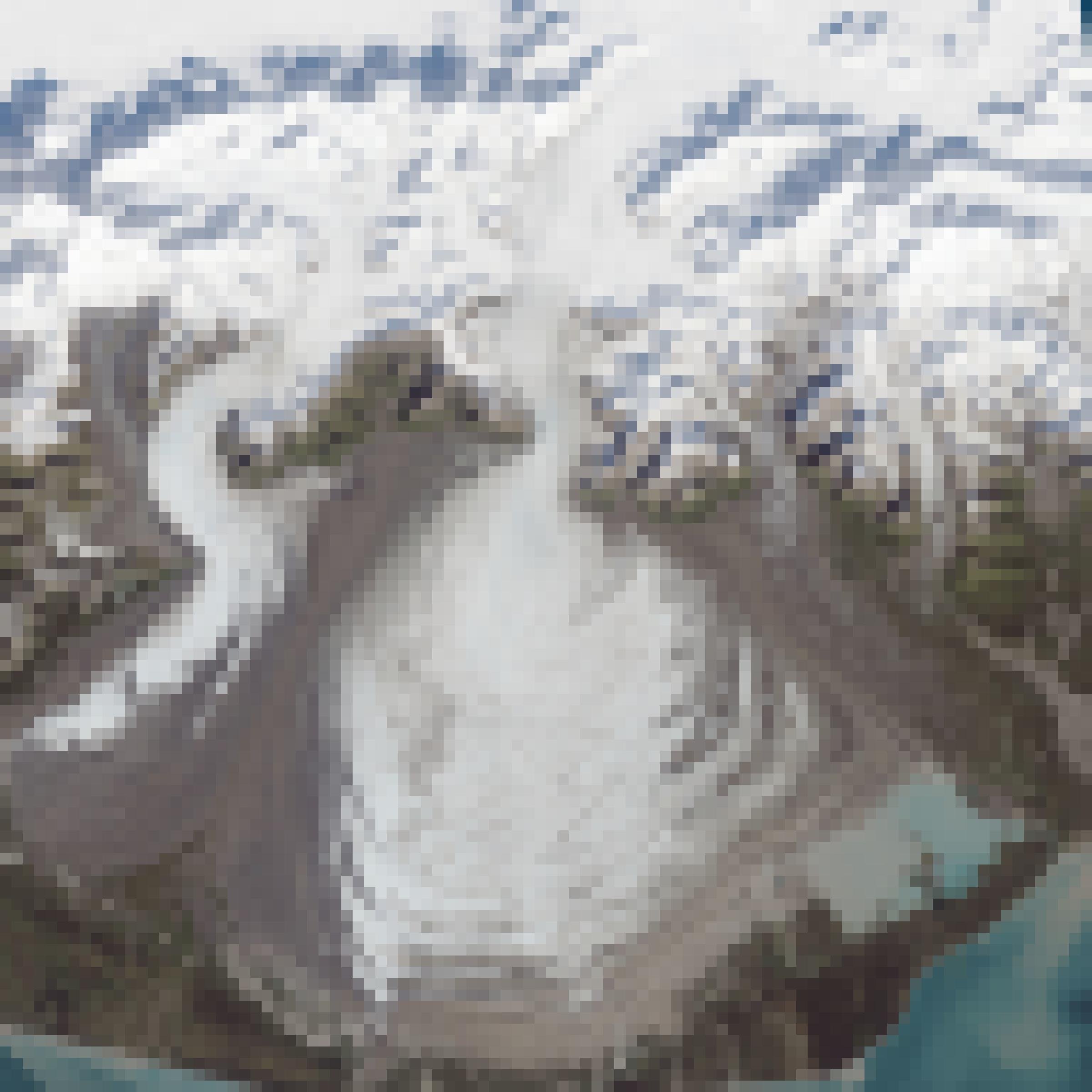 Satellitenbild mit schnee-/eisbedeckten Bergen, südlich mit halbrunder und Gletscherzunge