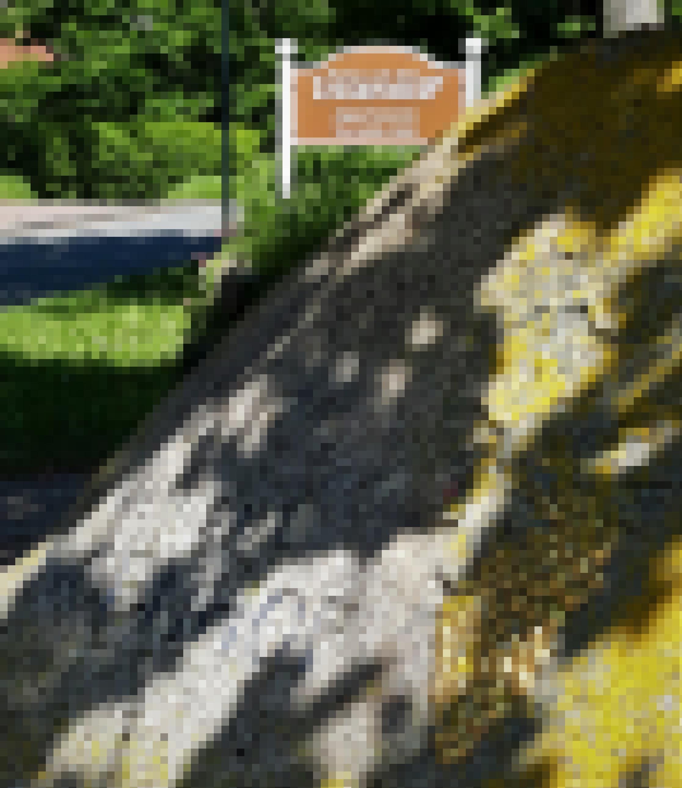 Neben der Inschrift „Ingenhof“ prangt eine stilisierte Traube. Im Hintergrund ragt ein Schild auf mit der Aufschrift „Ferien auf dem Ingenhof“.