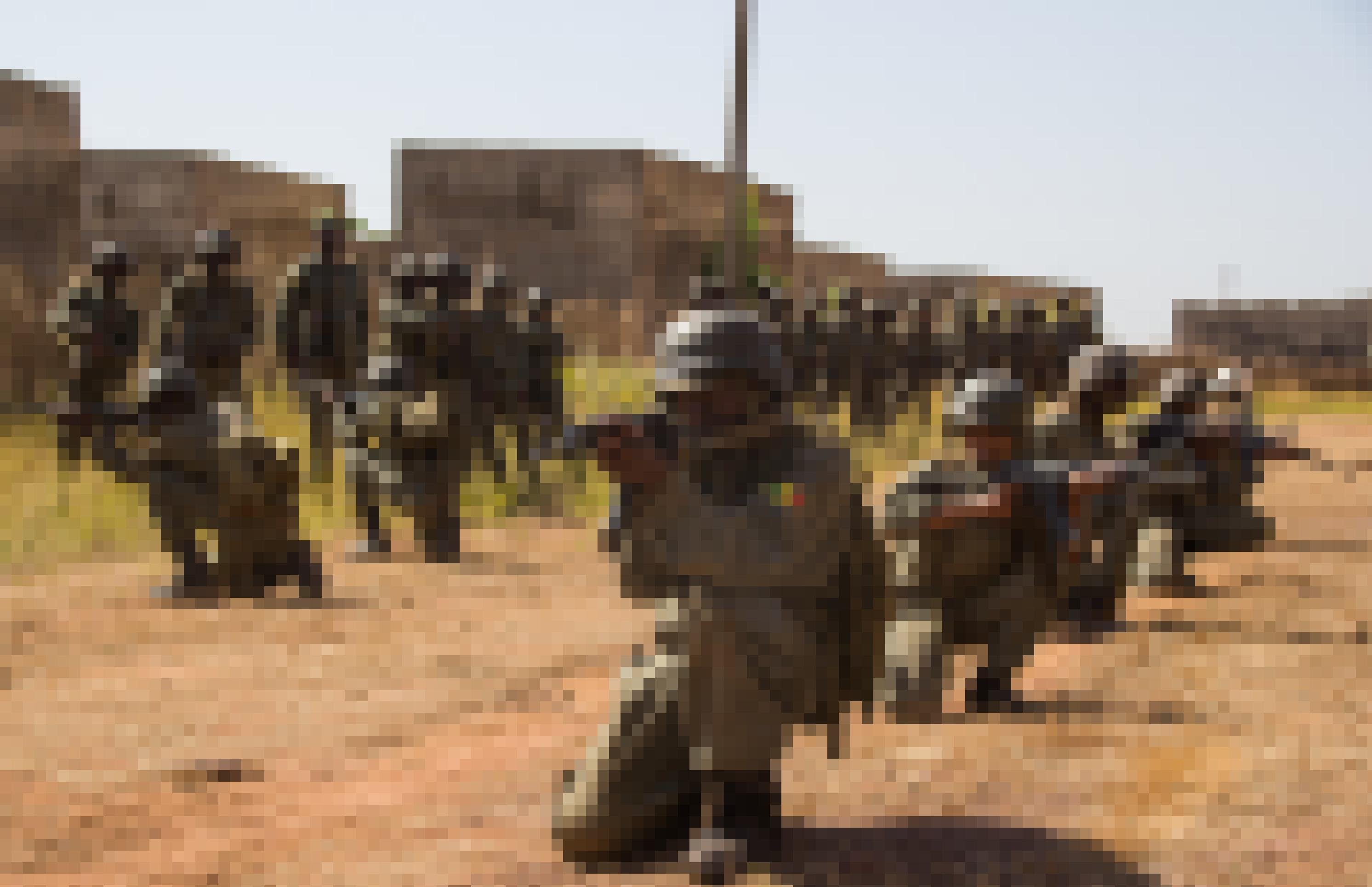 Malische Soldaten knien hintereinander in einer Reihe, die Gewehre im Anschlag. Sie üben den Häuserkampf.
