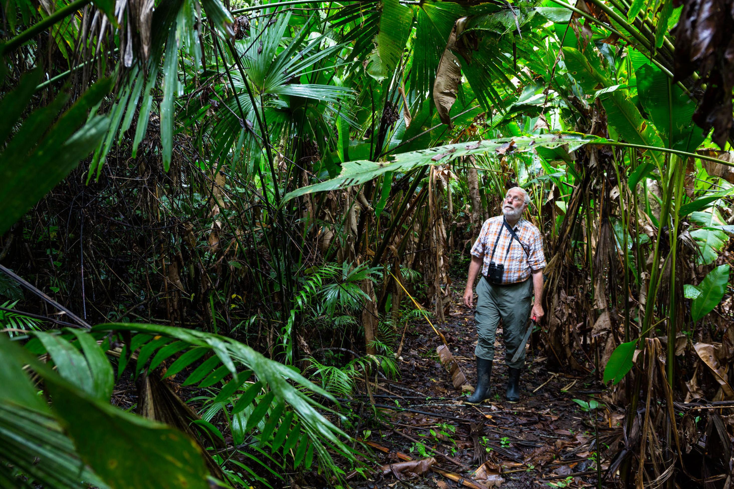 Manfred Siering in einem dicht bewachsenen tropischen Wald.