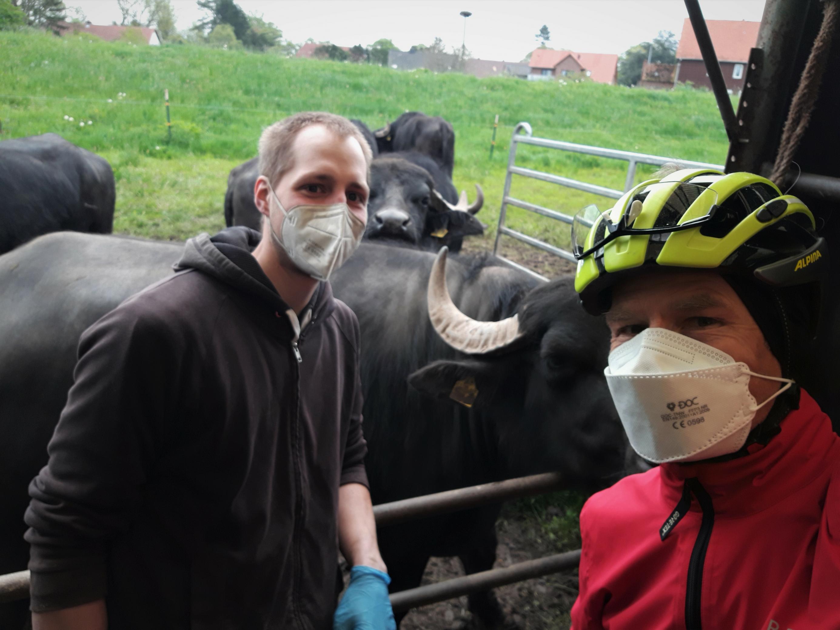 Auf dem Selfie des RadelndenReporters, der am rechten Bildrand zu sehen ist, lehnt sich der junge Landwirt ans Metallgatter, hinter dem im Bildausschnitt vier Büffel zu sehen sind.