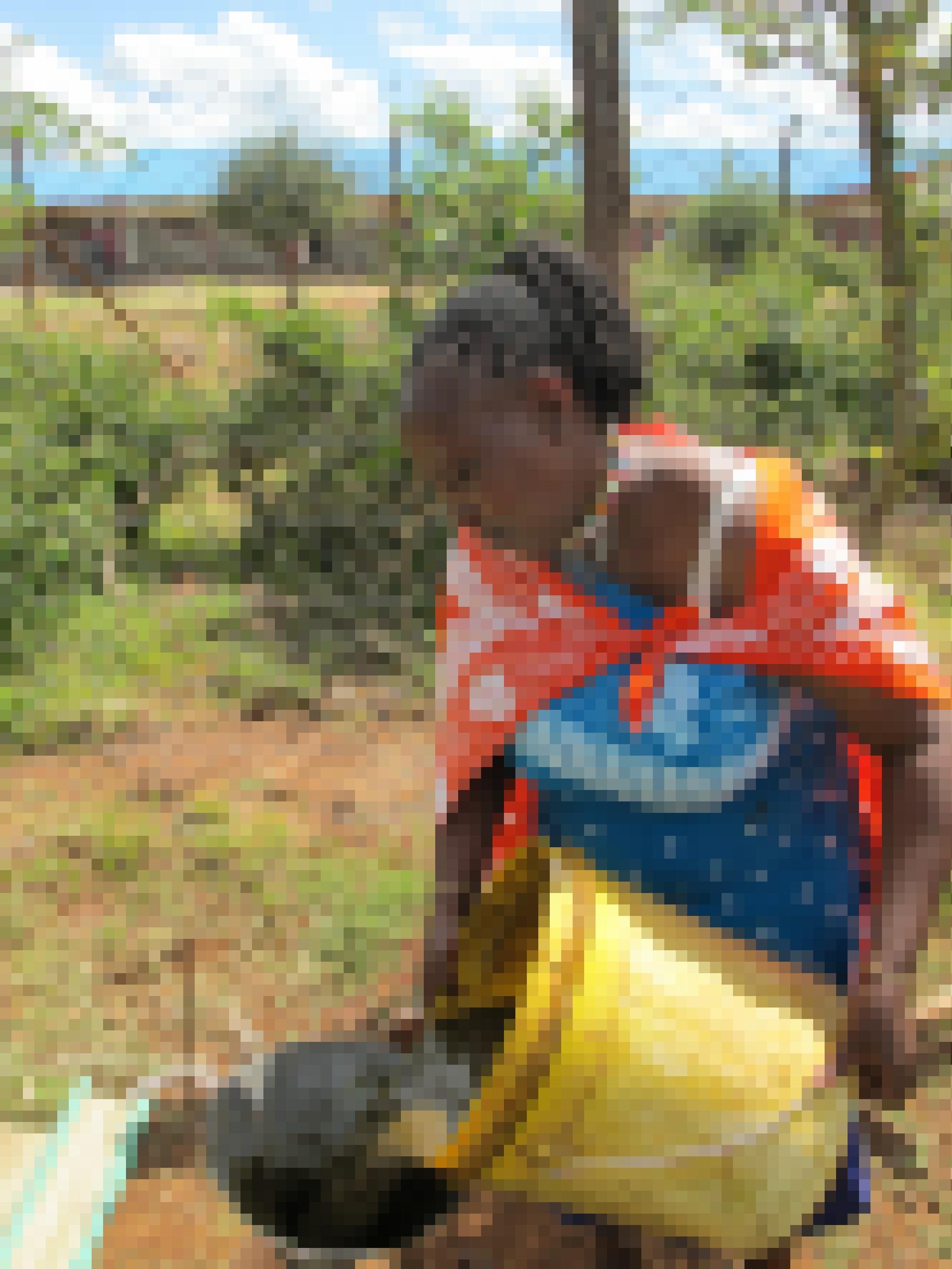Eine Frau in traditioneller Kleidung der Massai gießt Kuhmist aus einem Eimer in einen Trichter. Im Hintergrund Büsche und ein flaches Haus, noch weiter im Hintergrund ein Hügelzug.