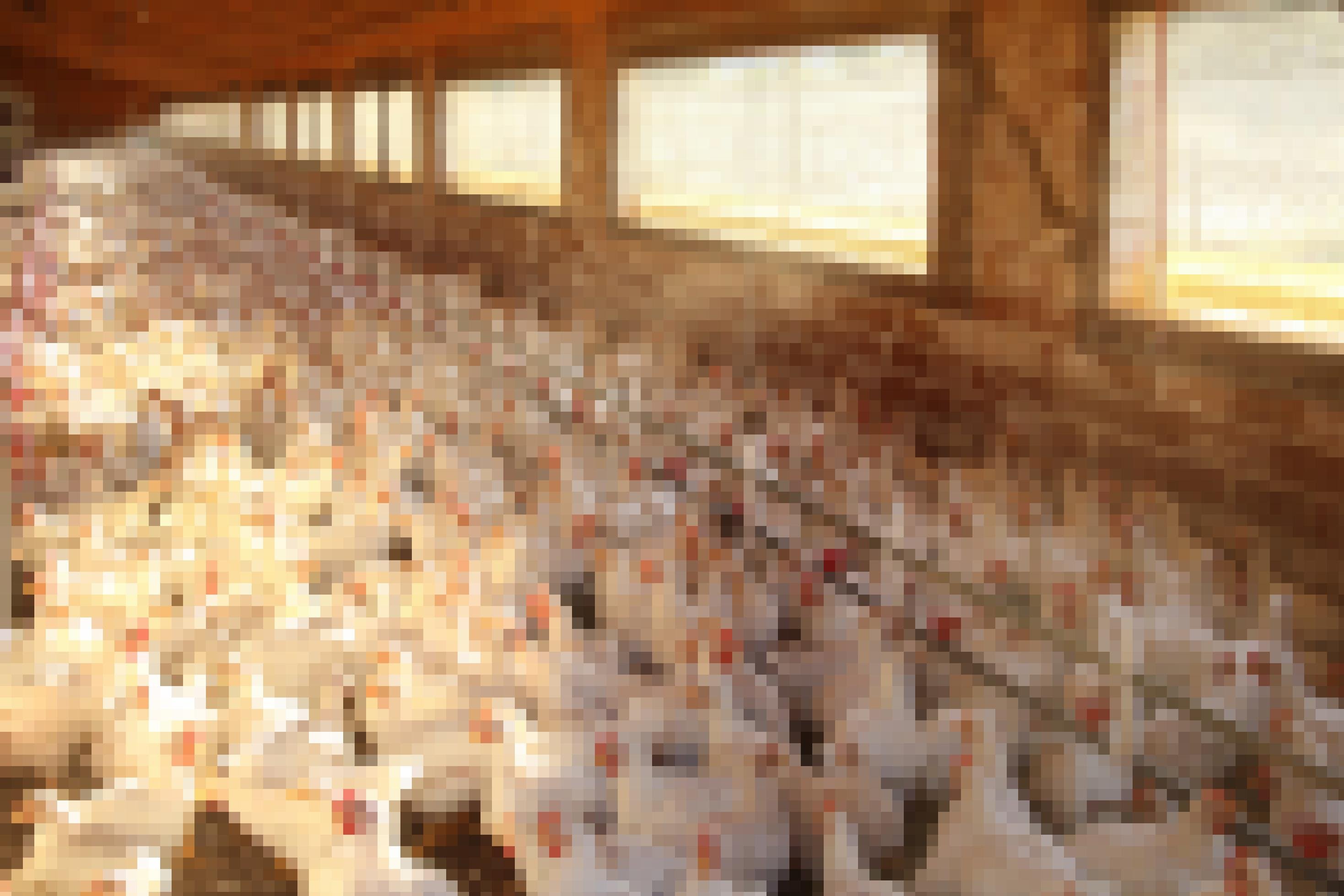 Eine Totale zeigt weiße Hühner auf beengtem Raum in einem Großstall. 18 Milliarden Nutztiere landeten 2019 im Müll, allen voran Hühner: 16,8 Milliarden Tiere wurden getötet, ohne je auf einem Teller zu landen.