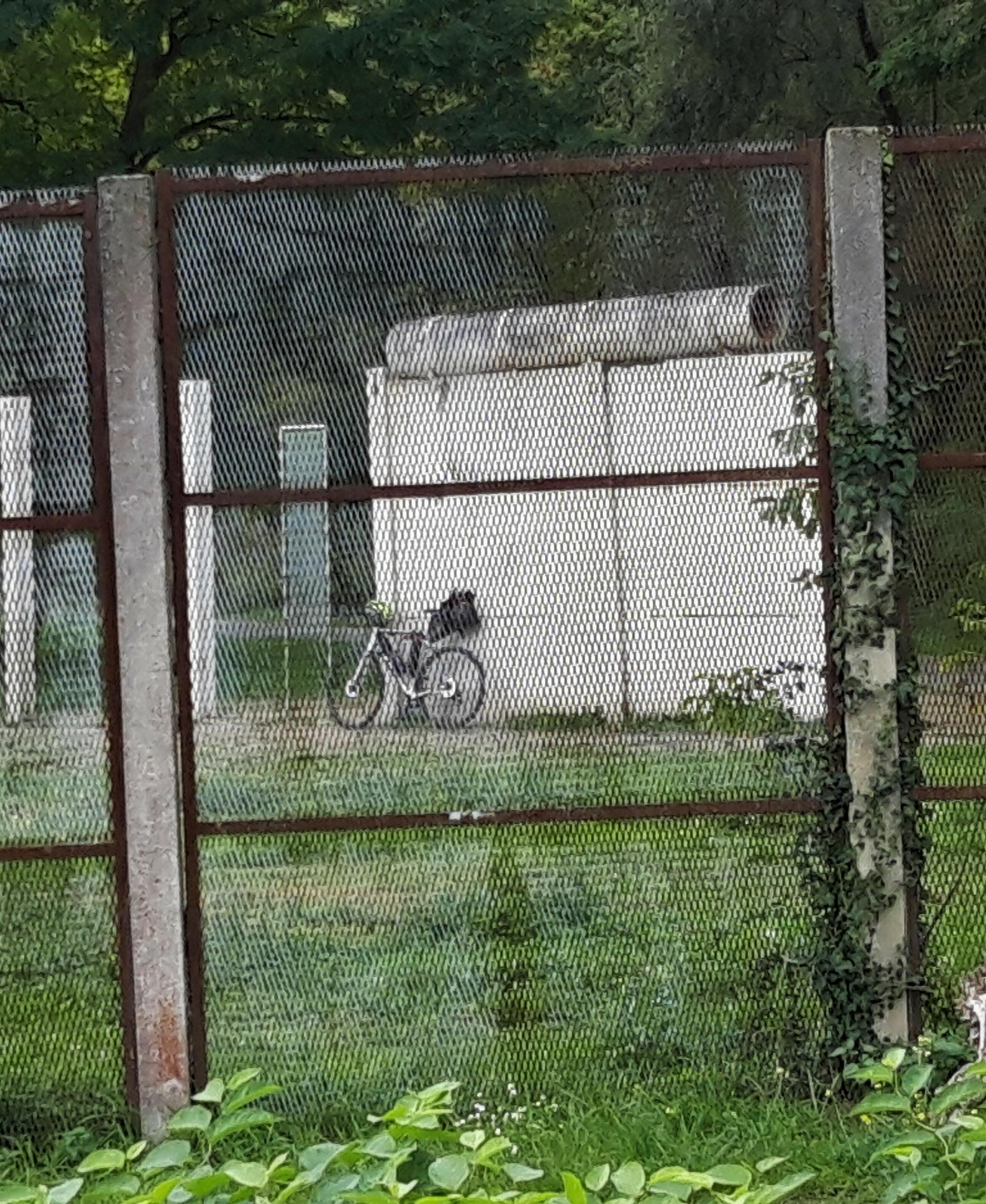 Im Hintergrund lehnt das Rad des RadelndenReporters an einem Überbleibsel der Berliner Mauer.