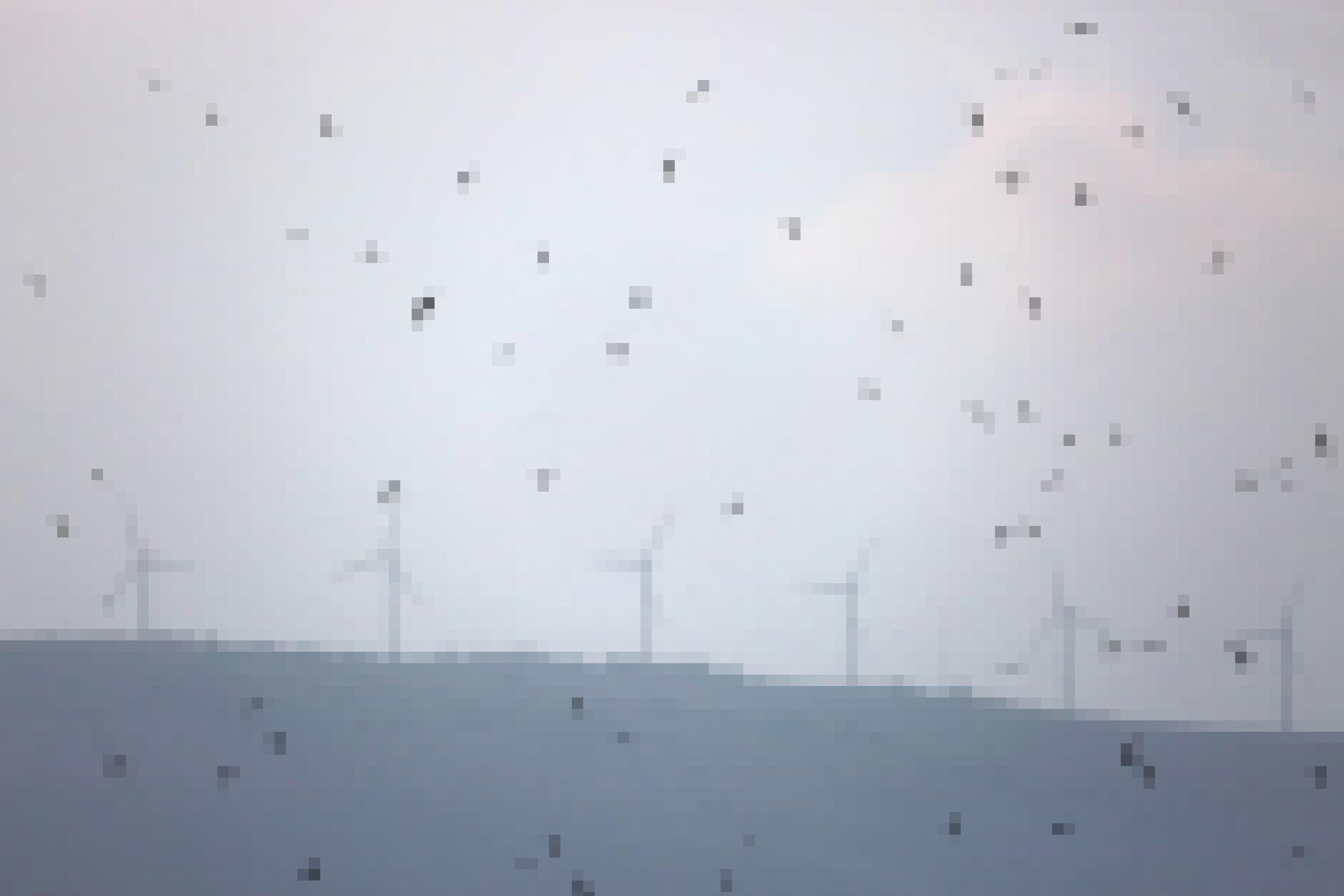 Windräder, davor fliegen kleine schwarze Vögel umher.