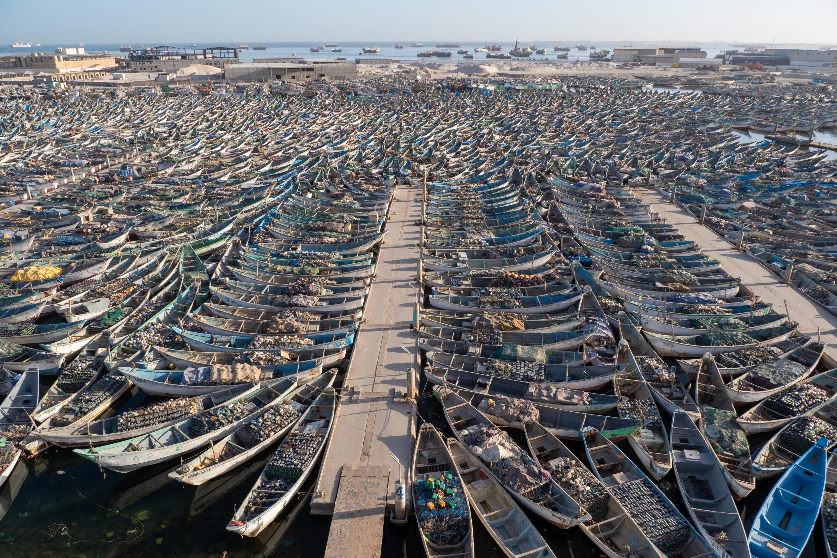In einem Hafenbecken liegen Fischereiboote aus Holz dicht an dich. Dazwischen ist kaum Wasser zu sehen.
