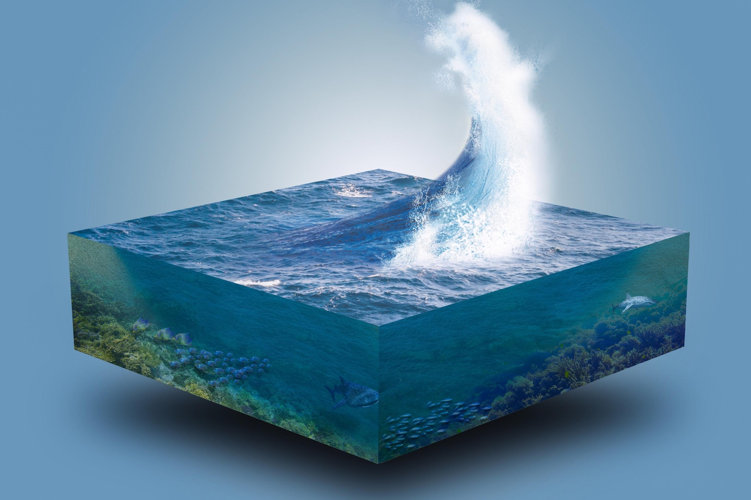 Ein Symbolbild mit einem viereckigen Ausschnitt aus dem Meer von den Wellen bis zur Tiefsee.