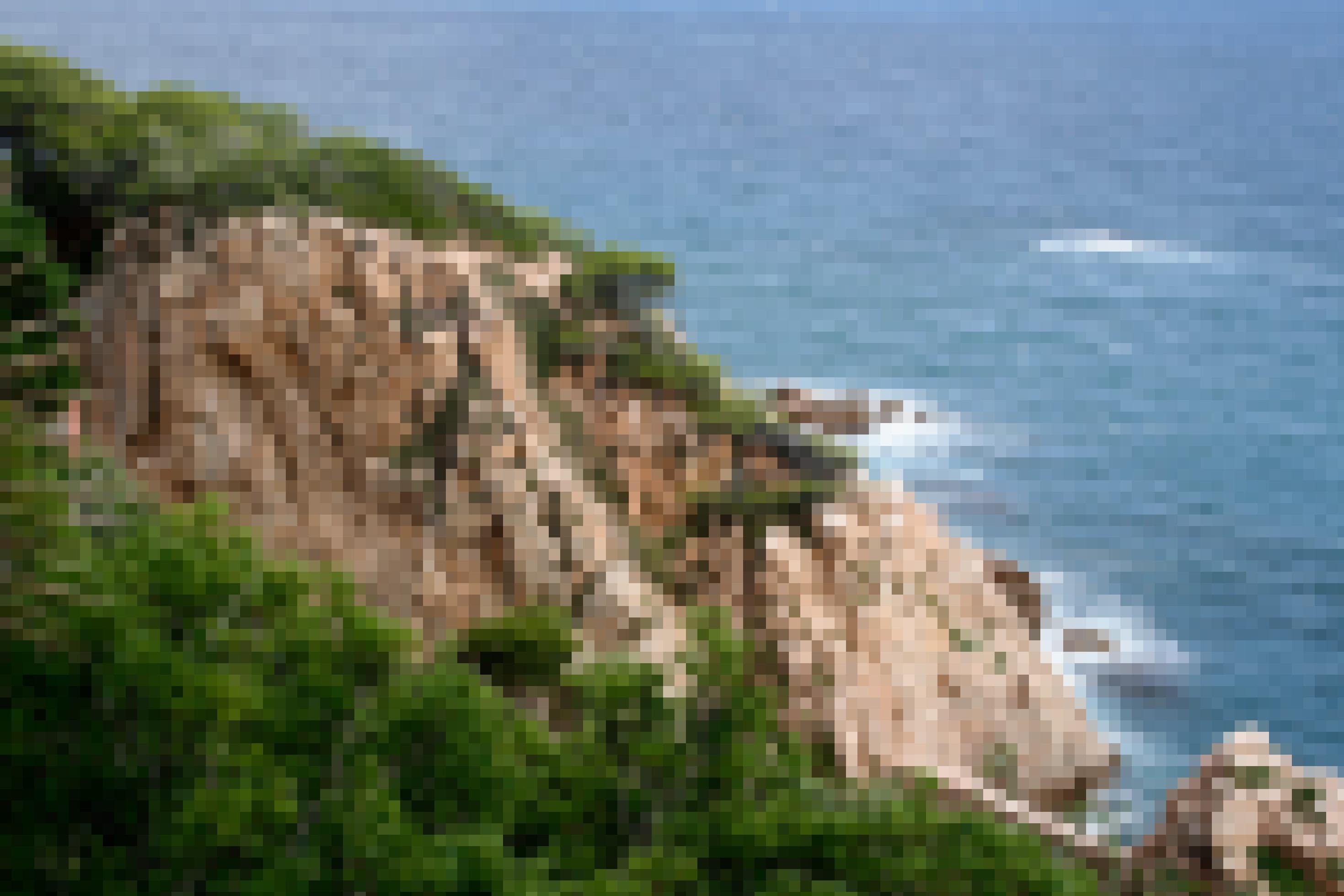 Steilküste am Meer mit braunen Felsen und Buschwerk
