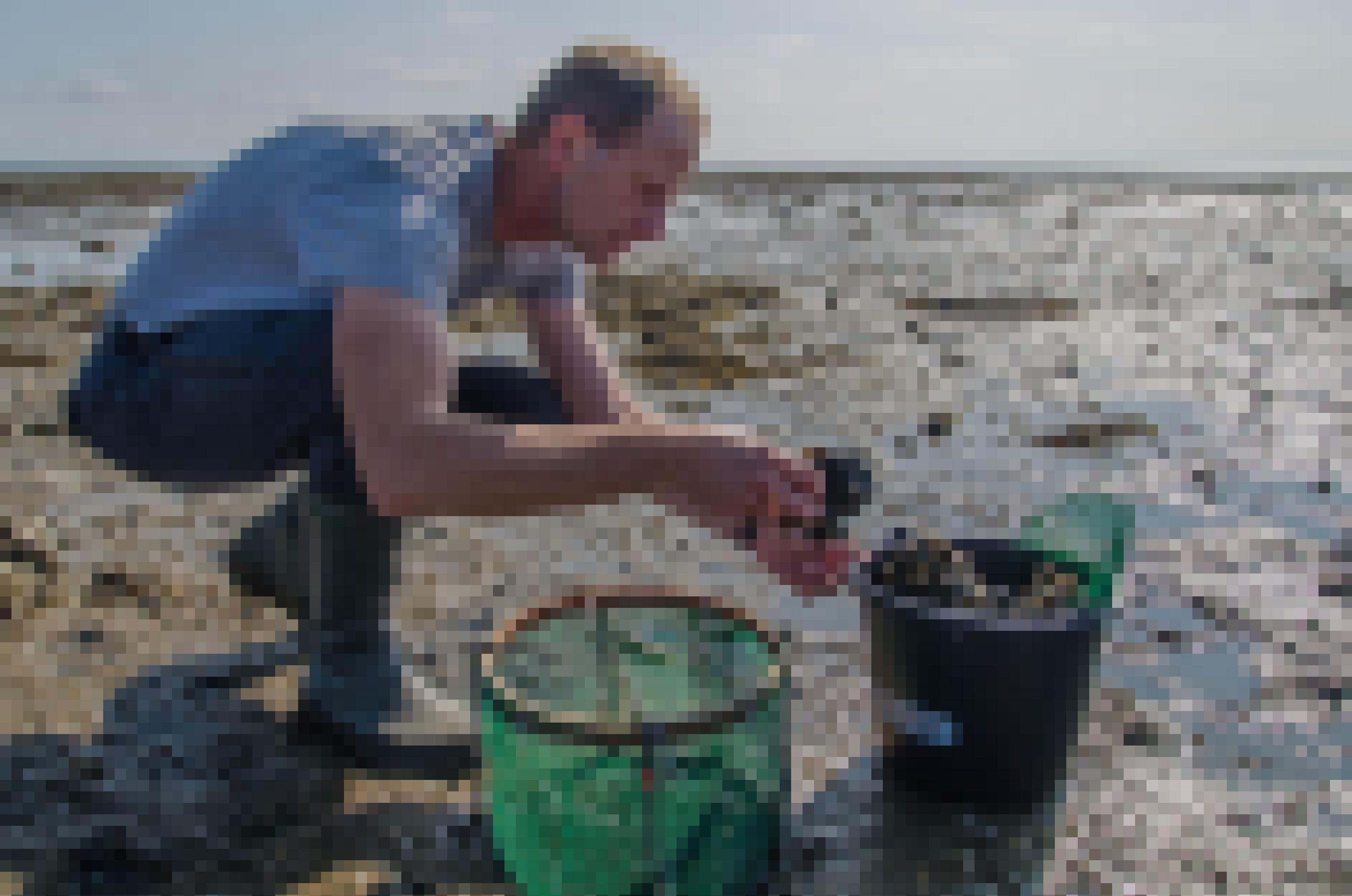 Ein Mann kniet mit Gummistiefeln im Wattenmeer und betrachtet Muscheln, die er in einem Eimer gesammelt hat.