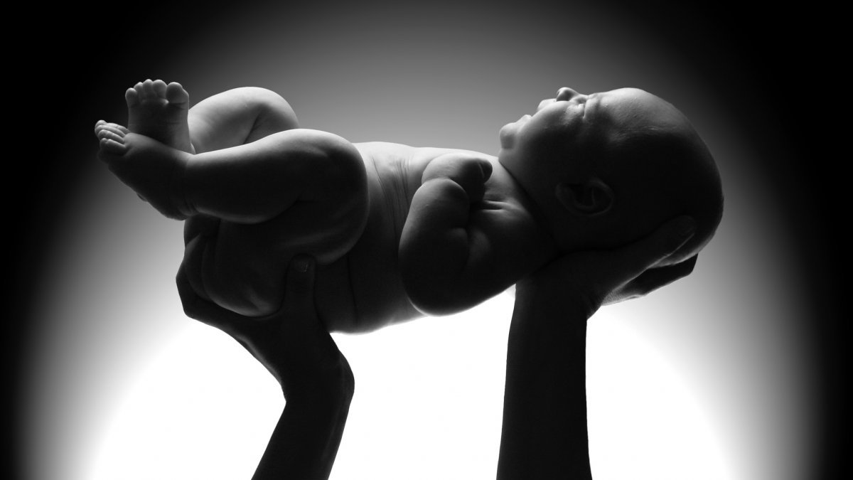 Was die Wachstumsrate im Mutterleib mit der Gehirngröße beim Menschen zu tun hat
