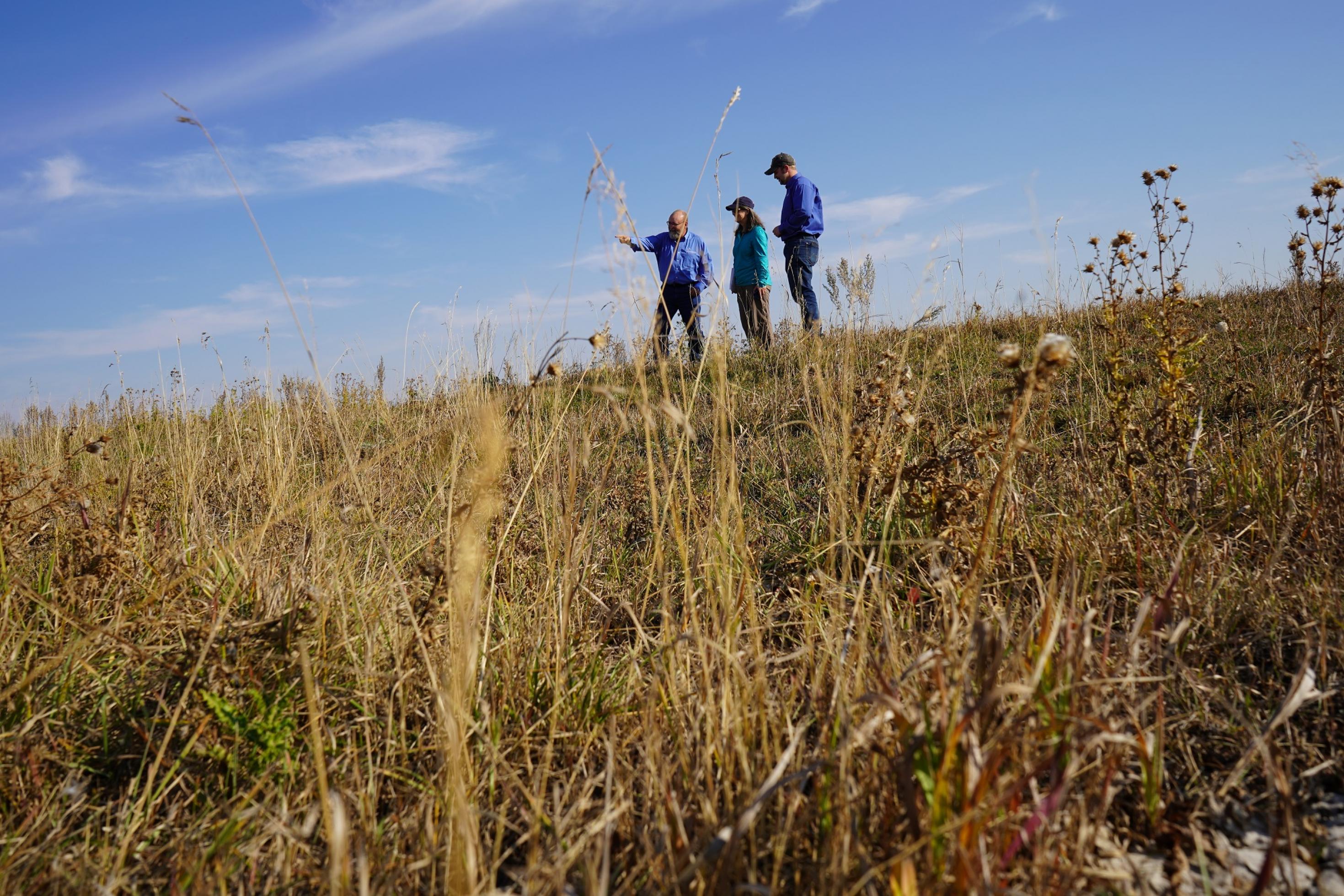 drei Menschen stehen in einer Graslandschaft