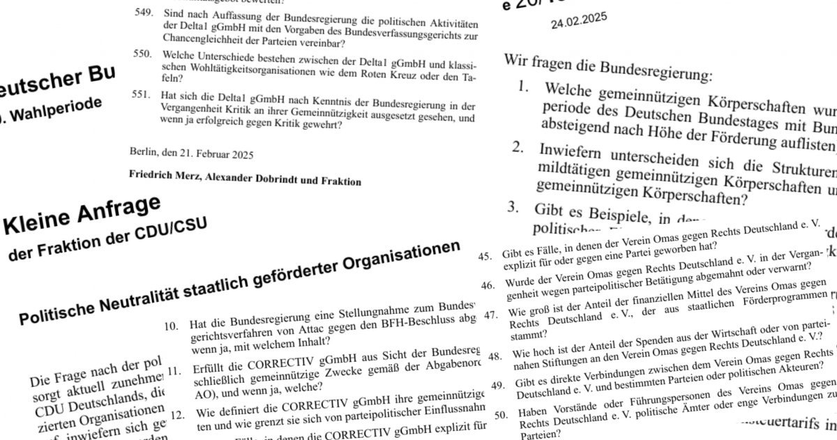 Merz und die NGOs: 551 Angriffe auf die Zivilgesellschaft