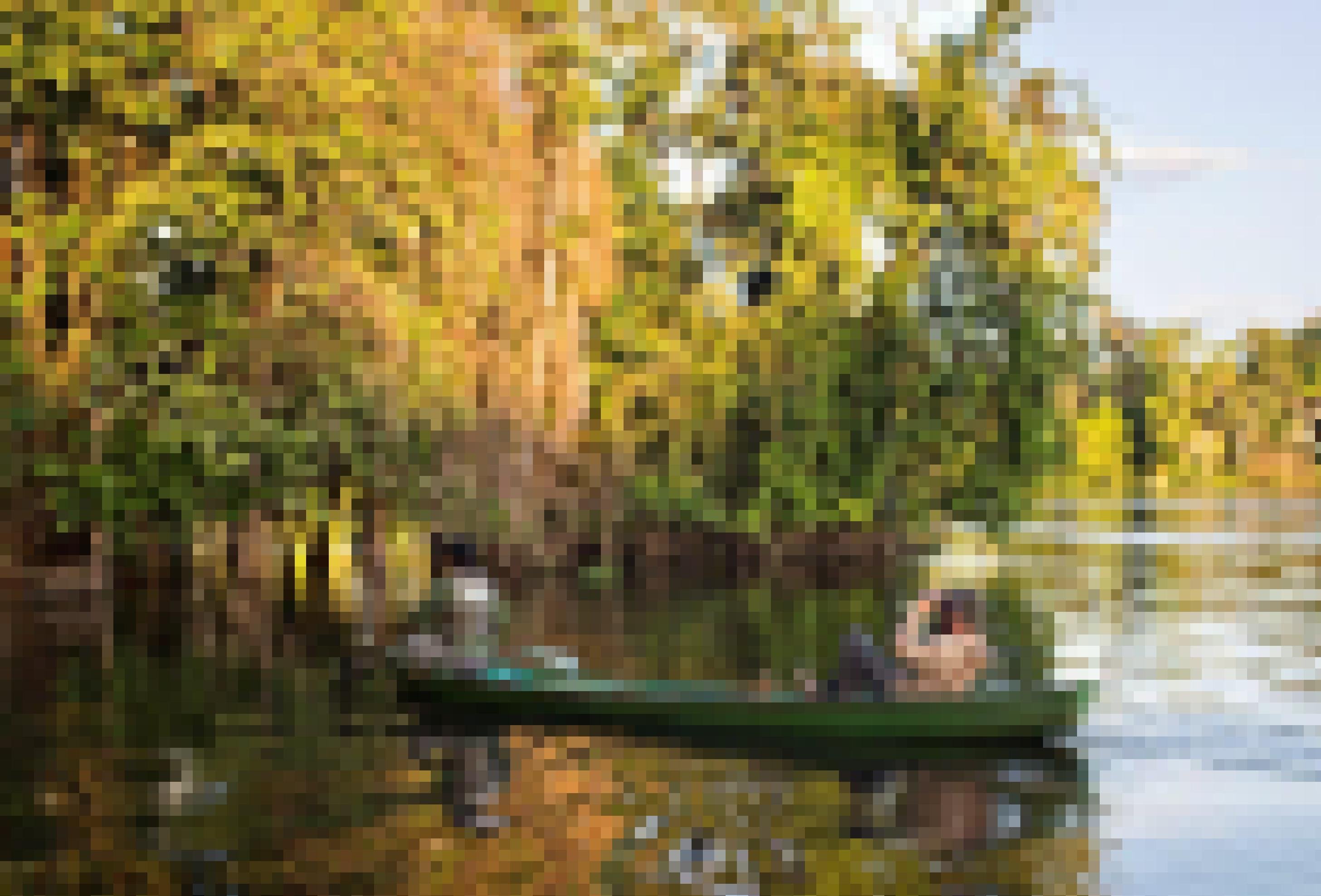 Zwei Männer im Kanu. Der vordere Mann paddelt, der hintere hat ein Fernglas vor den Augen und Kopfhörer auf. Die beiden nähern sich einem unter Wasser stehenden Wald.