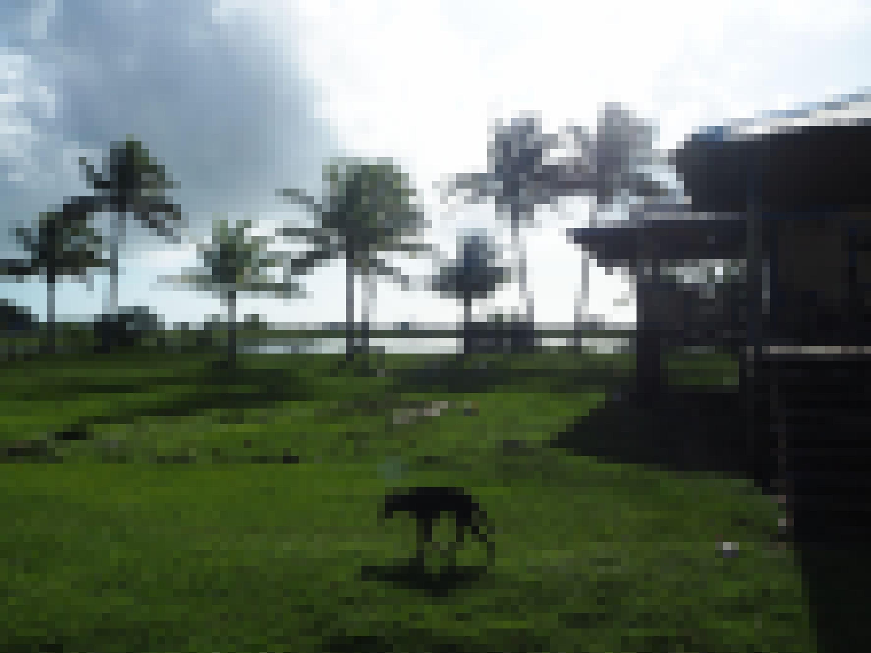 Ein abgemagerter Hund läuft durch das Bild, in dessen Hintergrund ein Holzhaus auf Pfählen steht, dahinter Palmen und Meer.