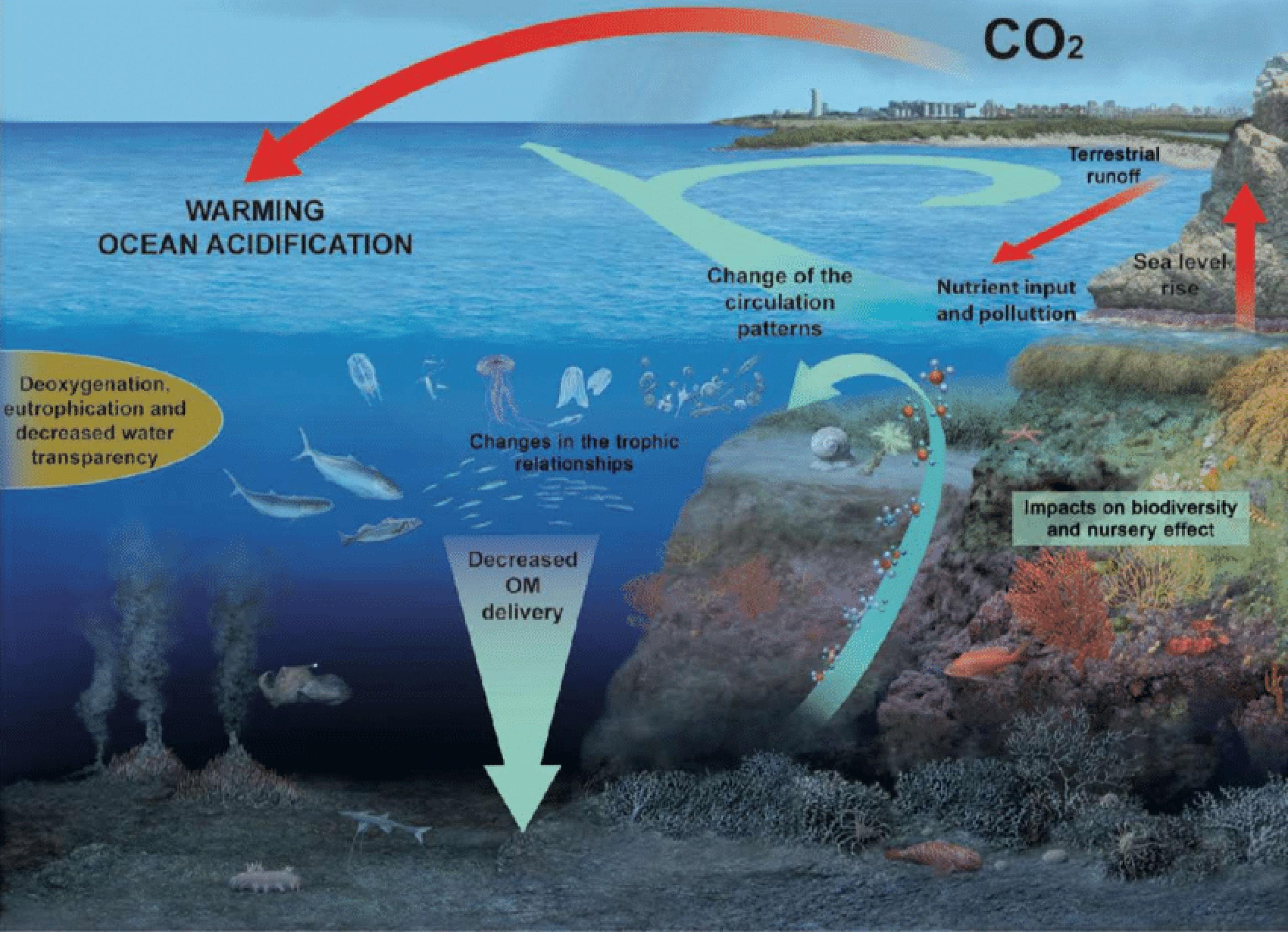Grafik, die einige der Stressfaktoren im Mittelmeer veranschaulicht, etwa atmosphärisches CO2, das das Wasser erwärmt und versauern lässt.
