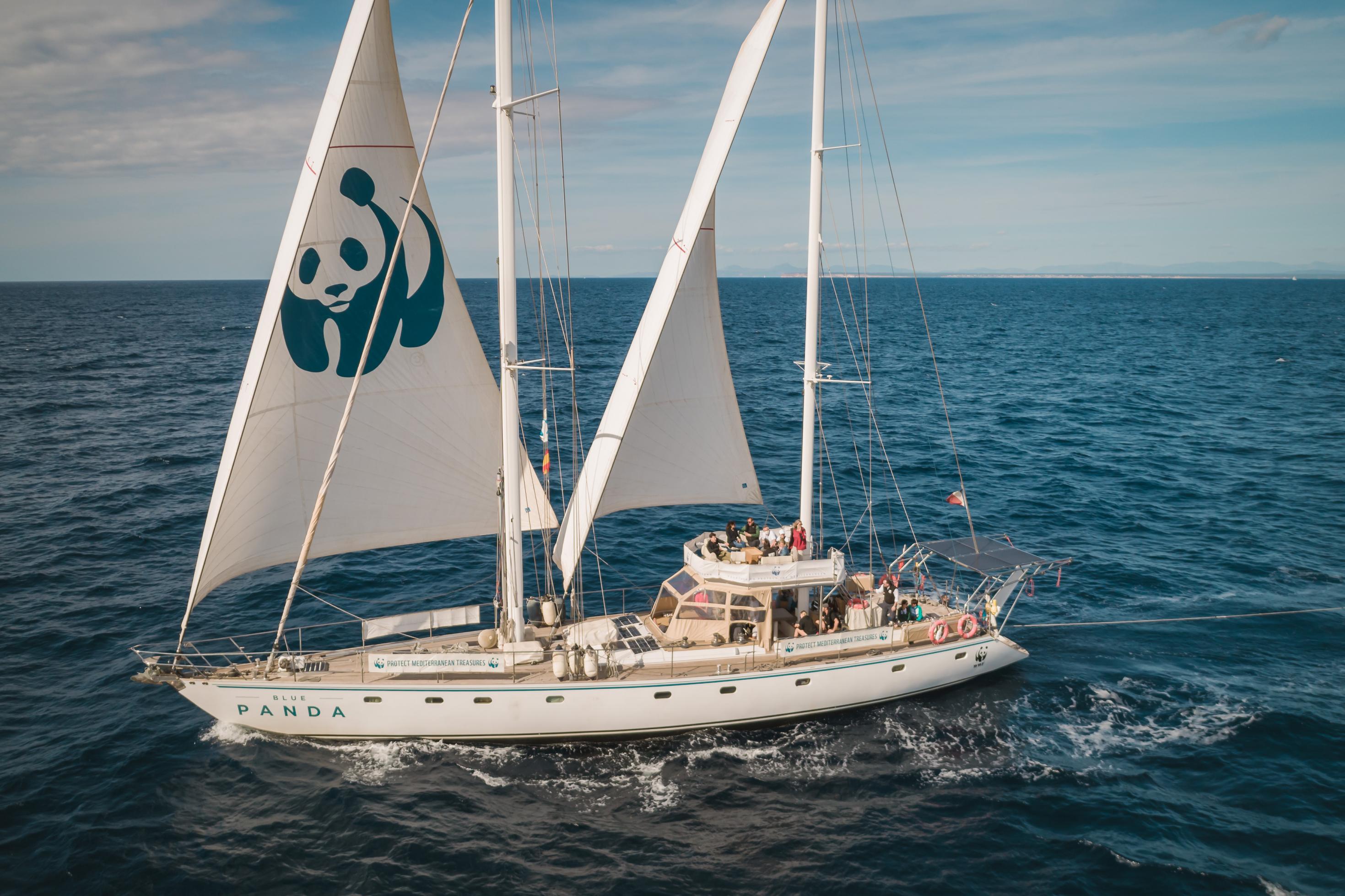 Foto zeigt das große Segelschiff „Blue Panda“, auf dem WWF-Teams durchs Pelagos-Schutzgebiet im Mittelmeer kreuzen