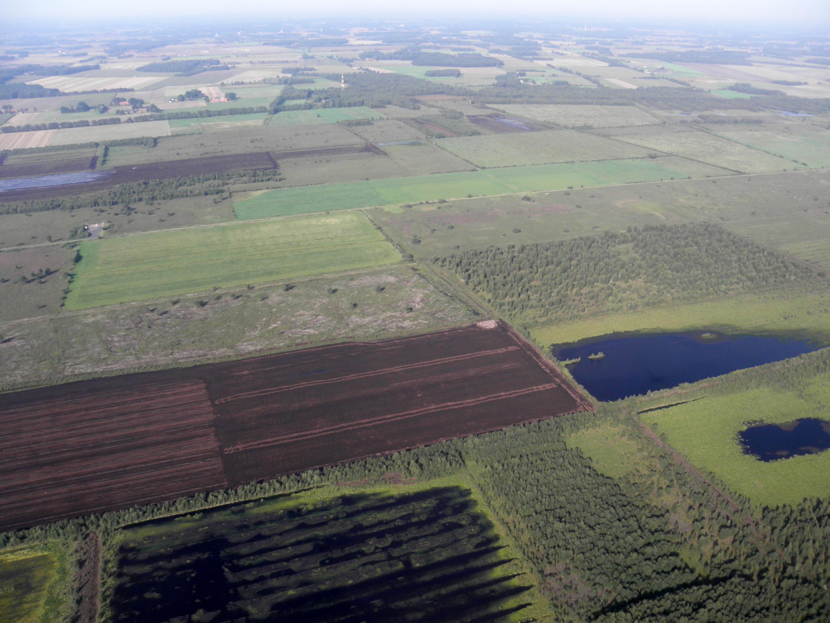 Luftbild einer flachen Landschaft mit Torfstichen und aufgelassenen Abbauflächen, auf denen sich teilweise Flachwasser staut