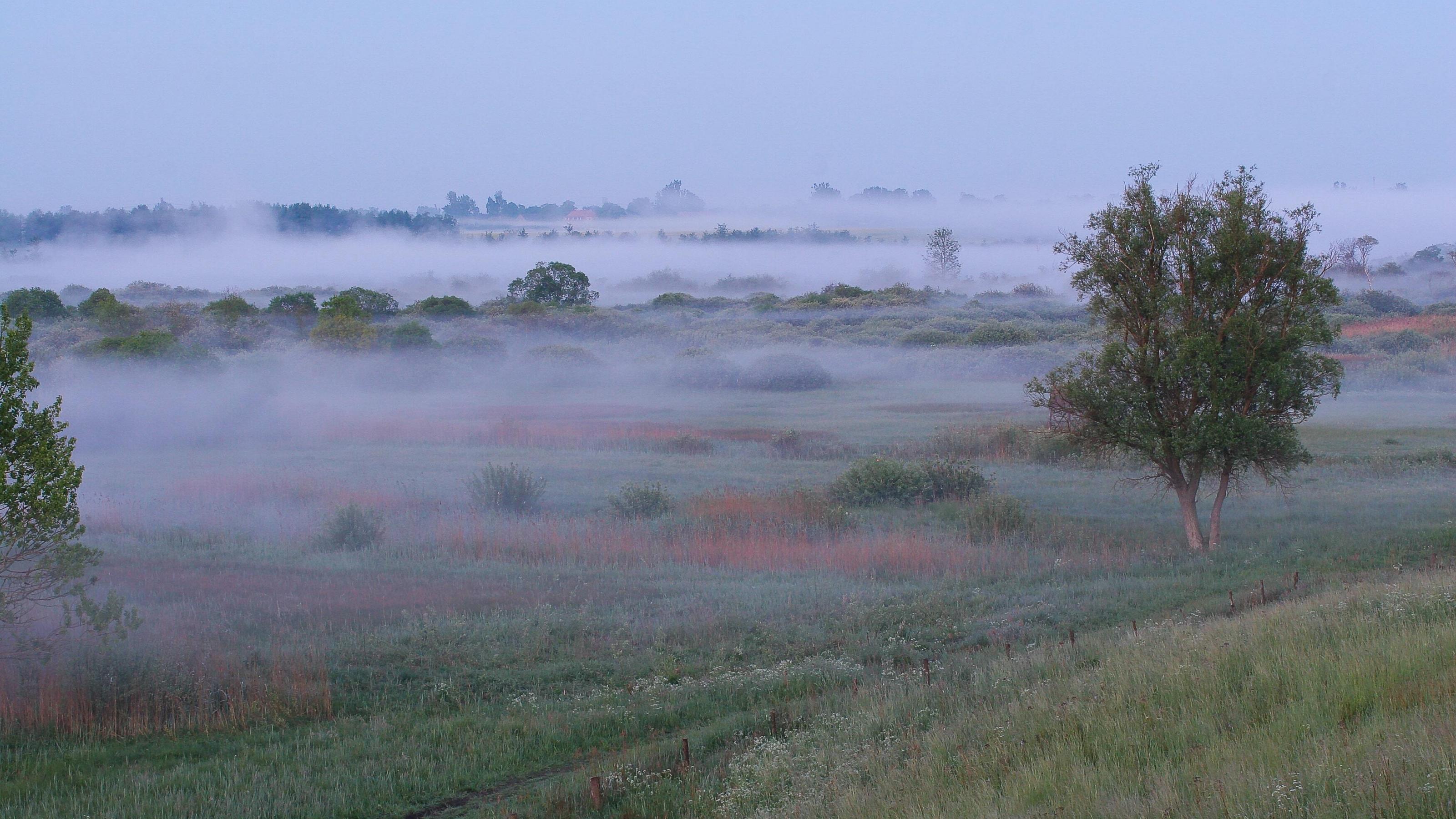 Morgenstimmung mit Nebelschwaden über dem Flusstal der Peene